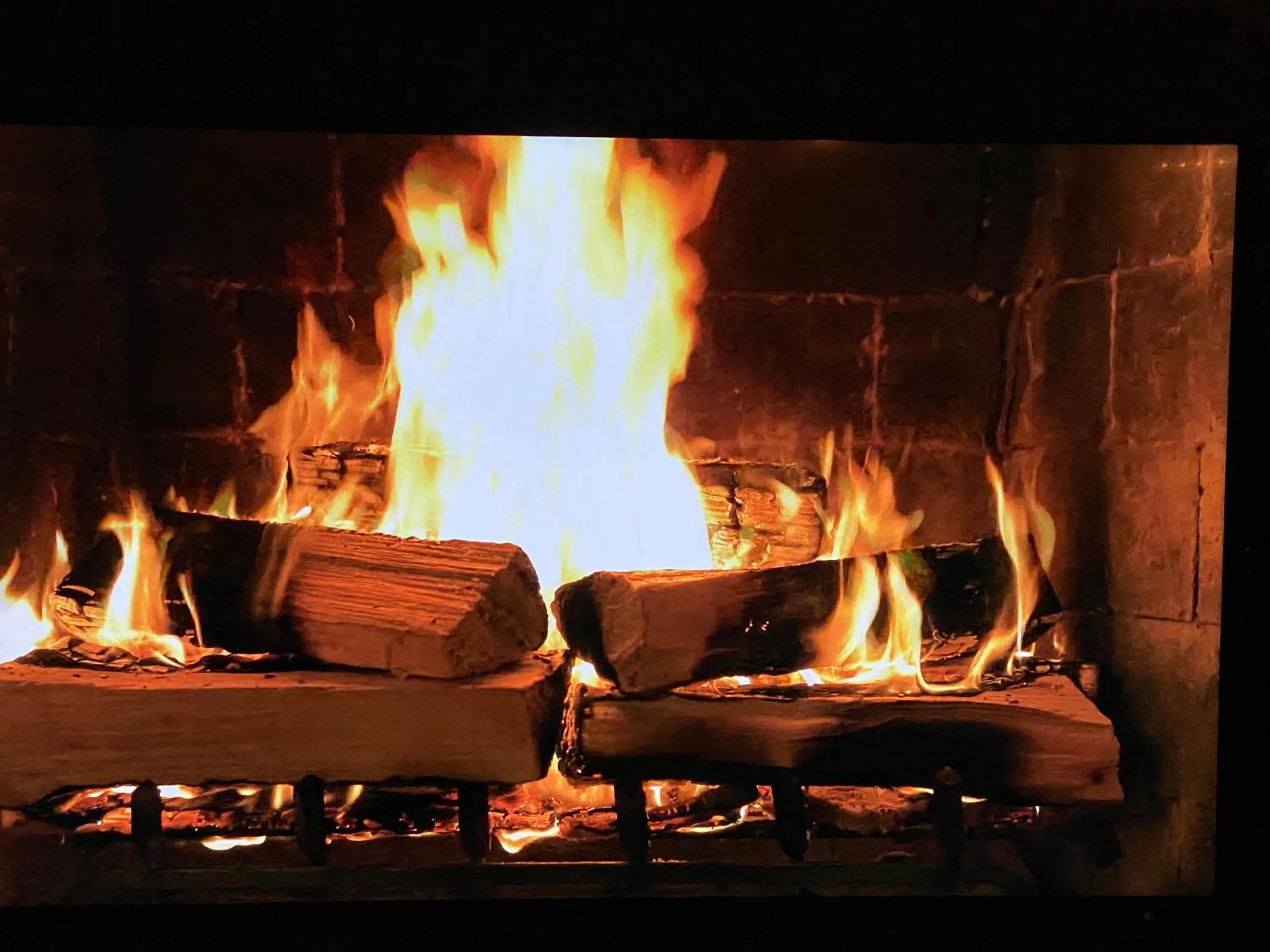 Lounge or bar in Privathotel Riesenbeck