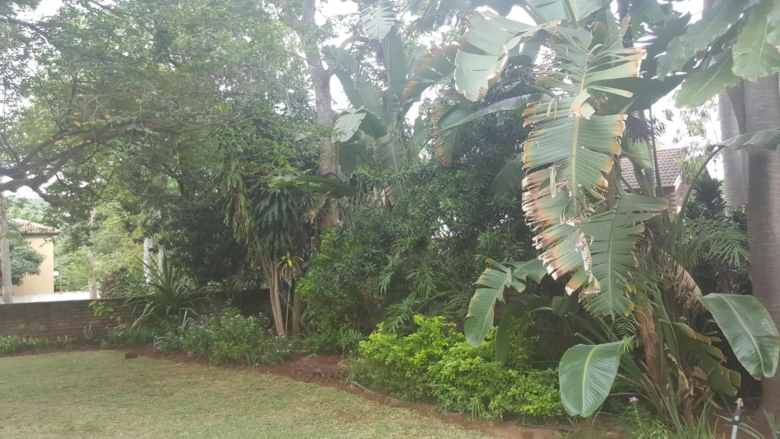 Day in Spring Acres Guesthouse