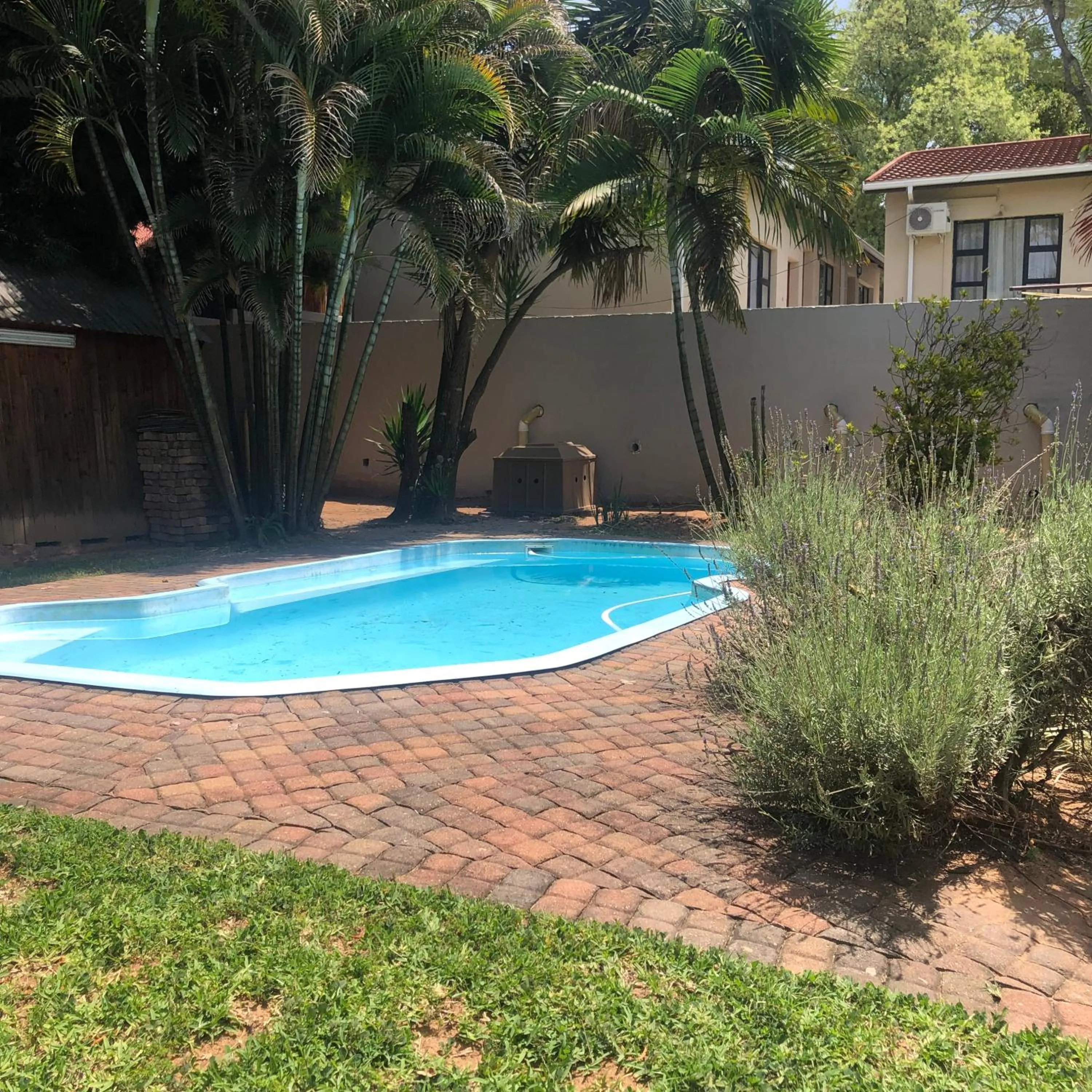 Swimming pool in Spring Acres Guesthouse