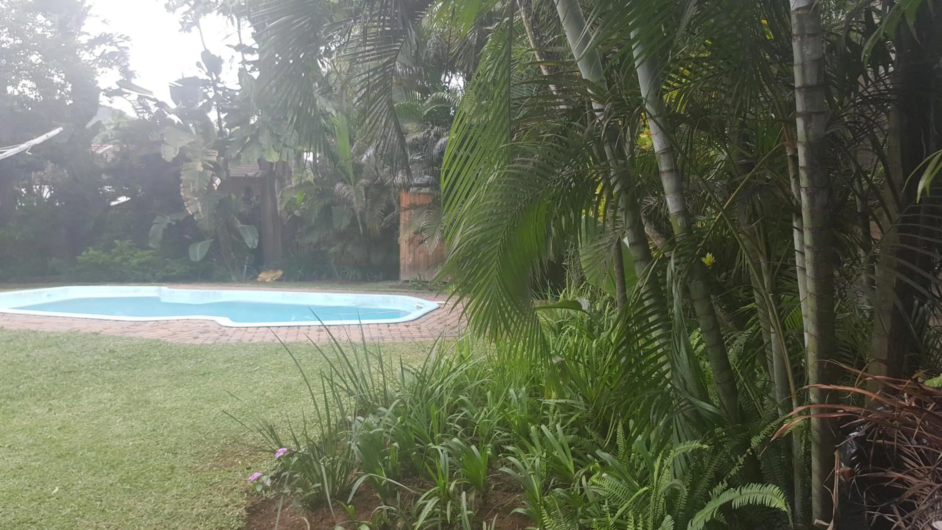 Day in Spring Acres Guesthouse