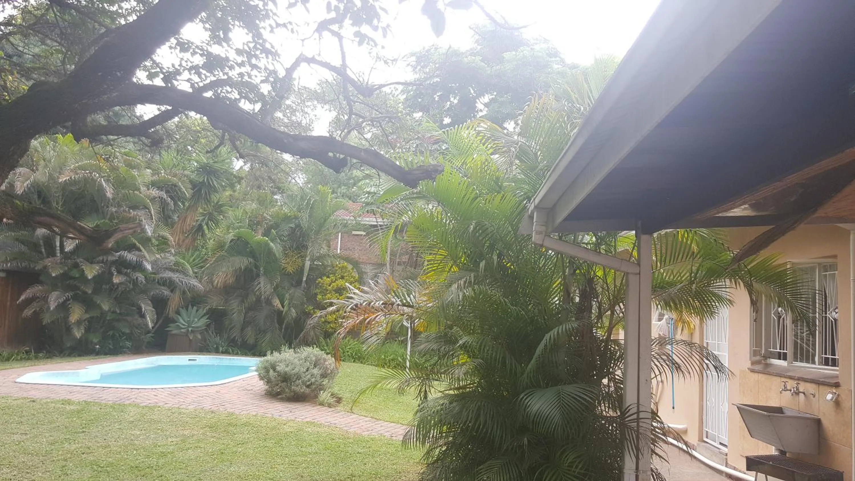 Garden view in Spring Acres Guesthouse