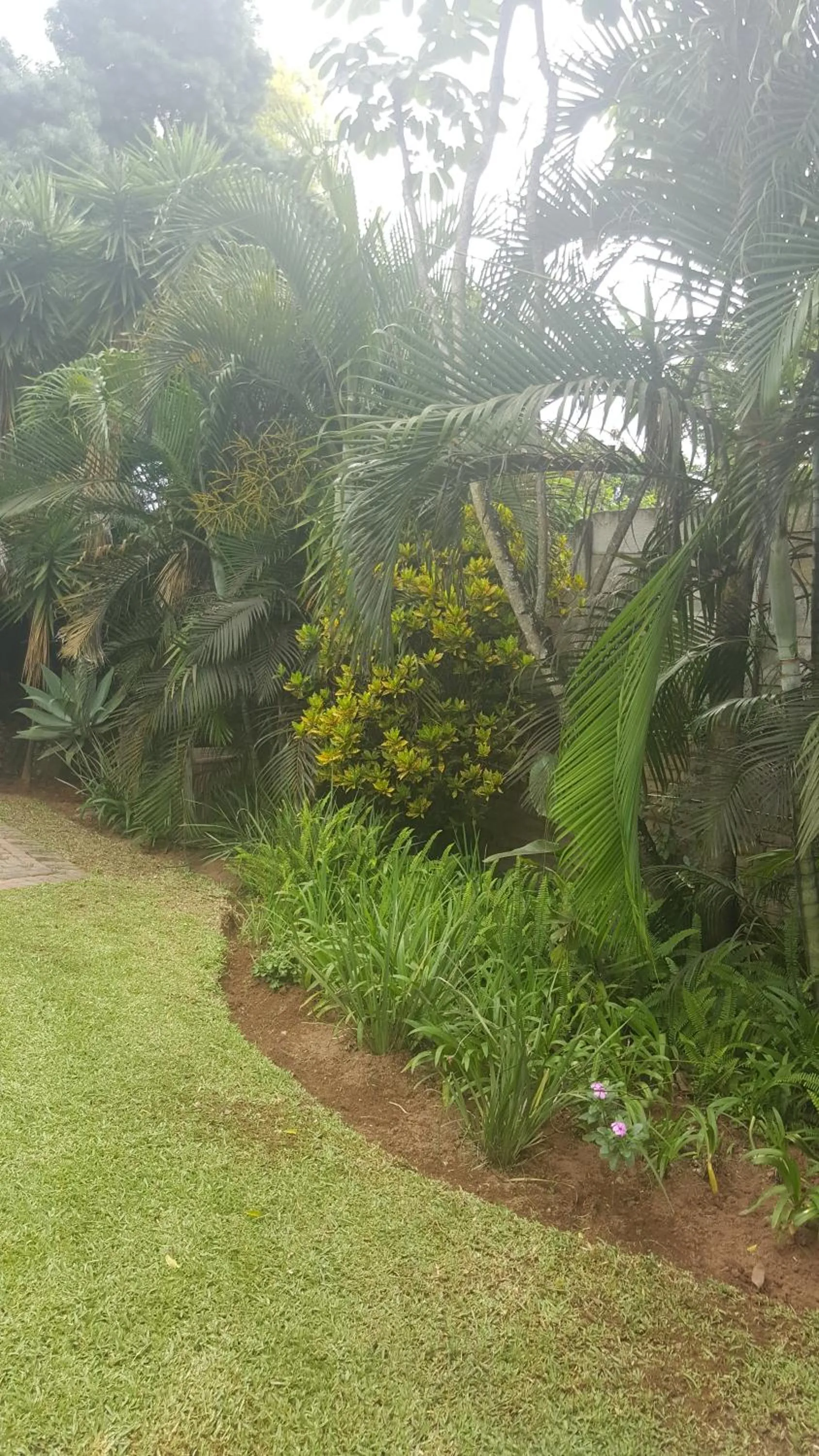 Other in Spring Acres Guesthouse