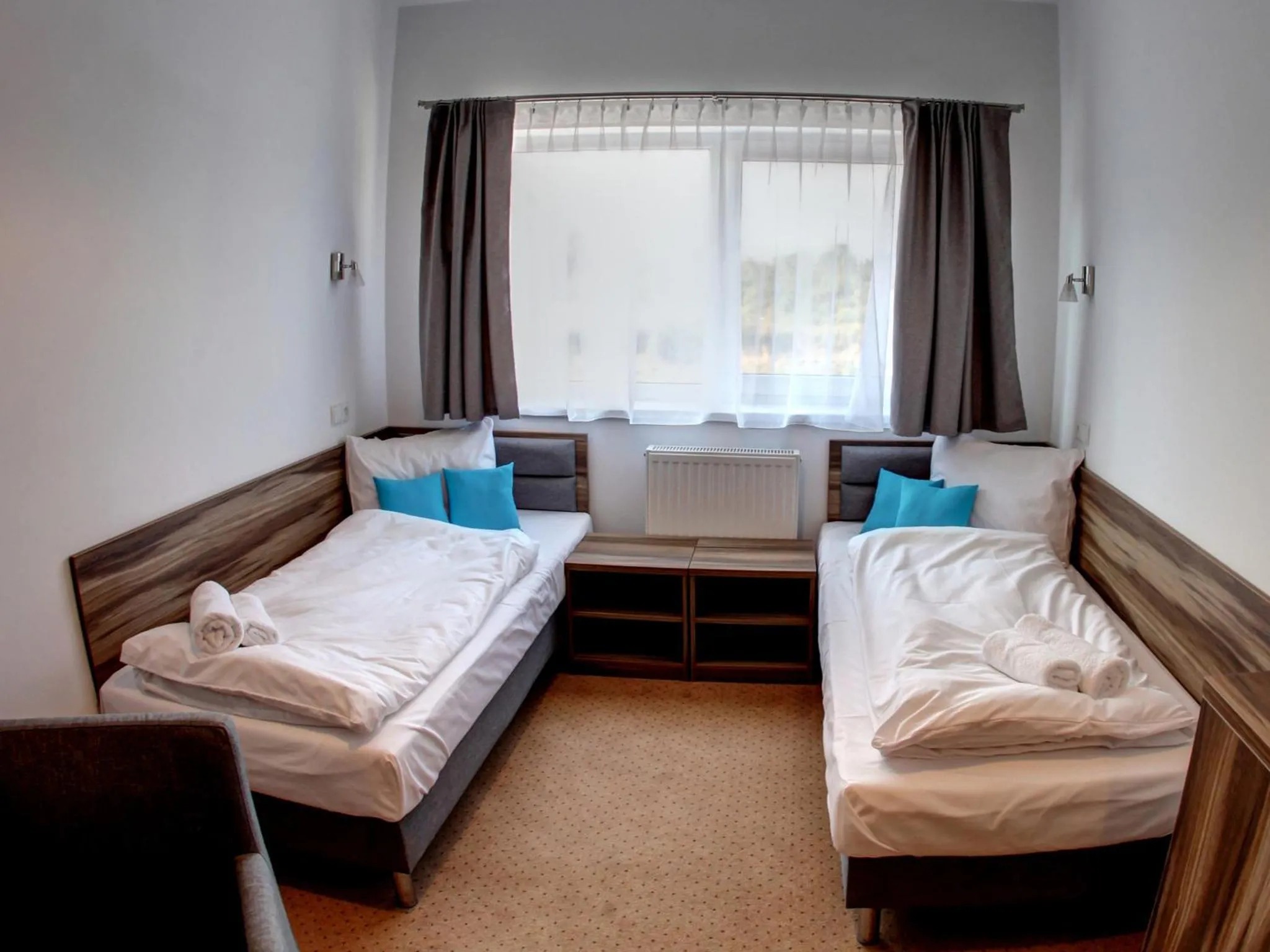 Double Room with Private Bathroom in Hotel Serby