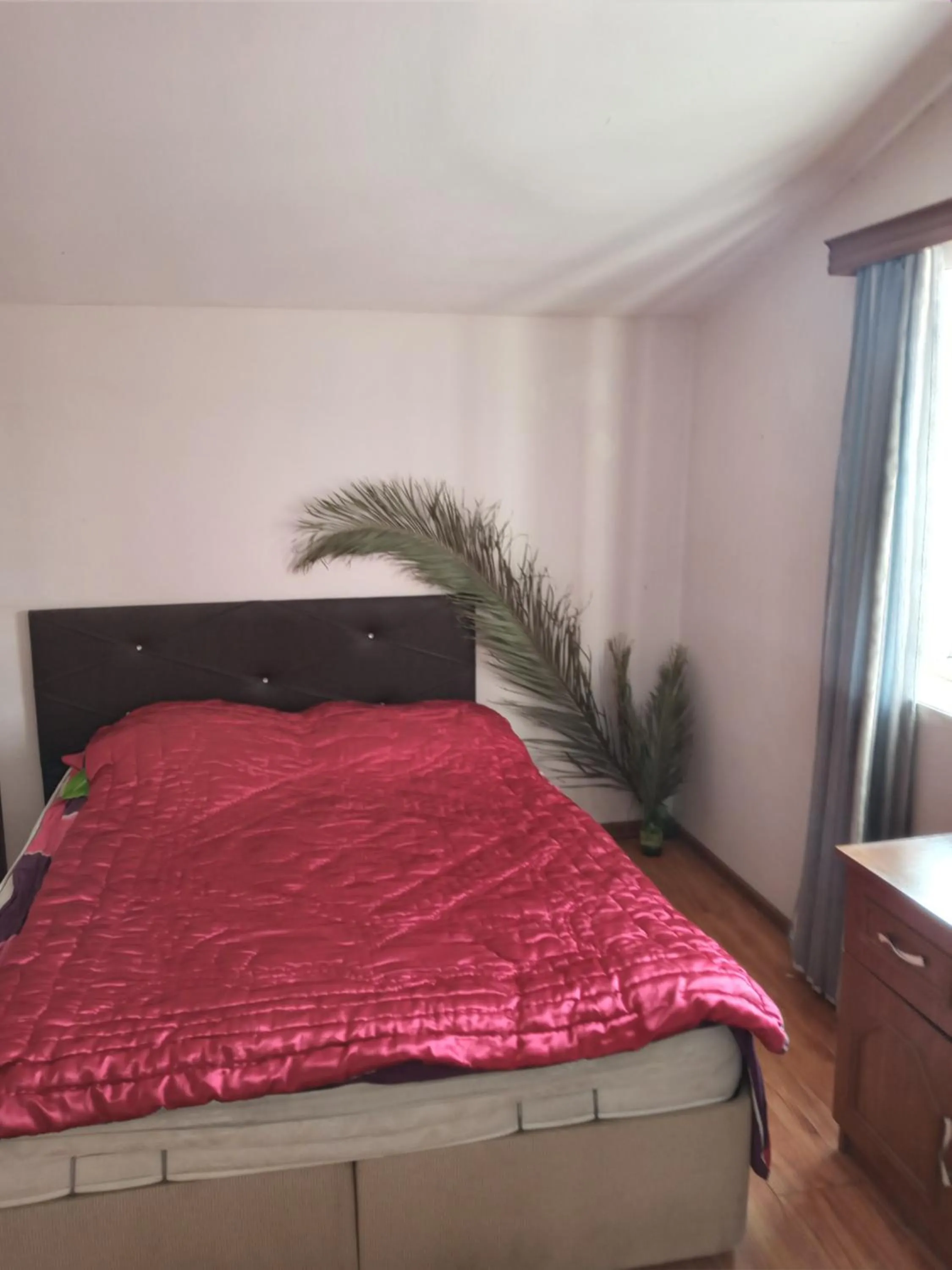 Bedroom, Bed in George Dom
