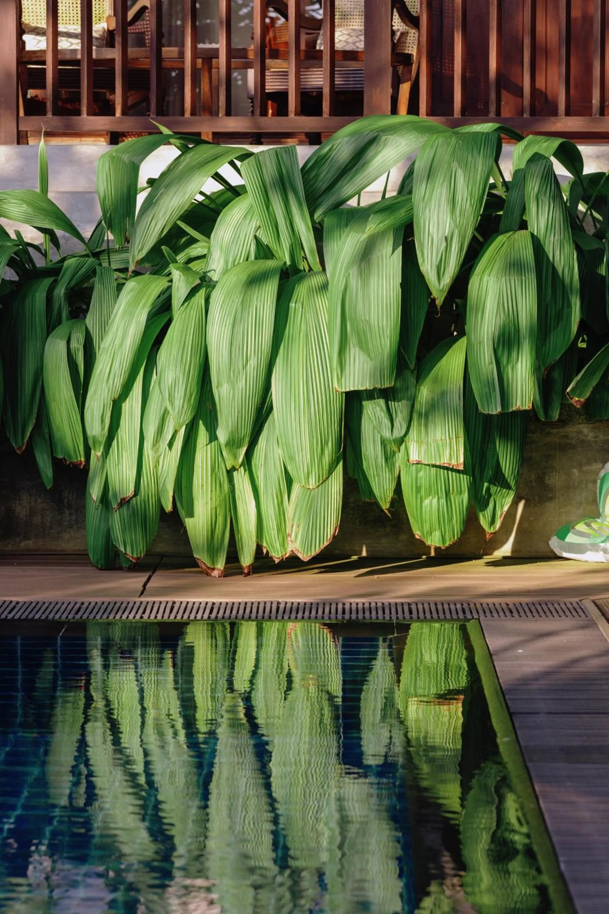 Day in The Postcard Galle