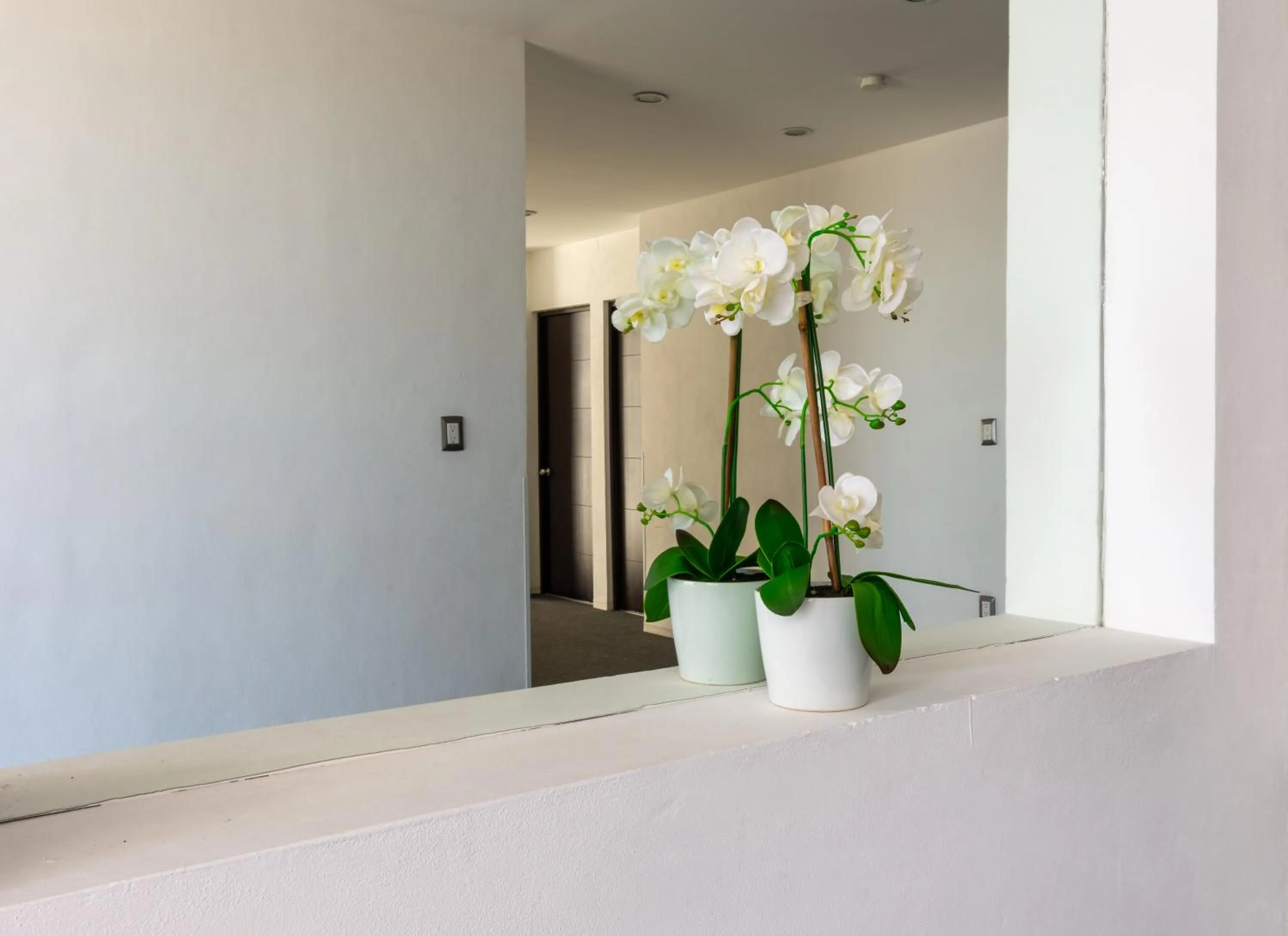 Decorative detail in Hotel México Inn Express