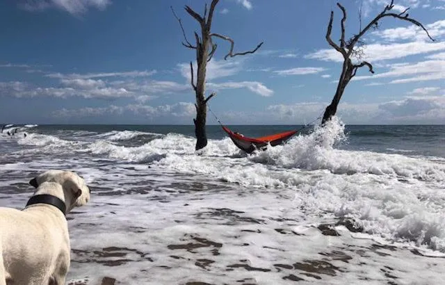 Natural landscape in Gladstone Backpackers