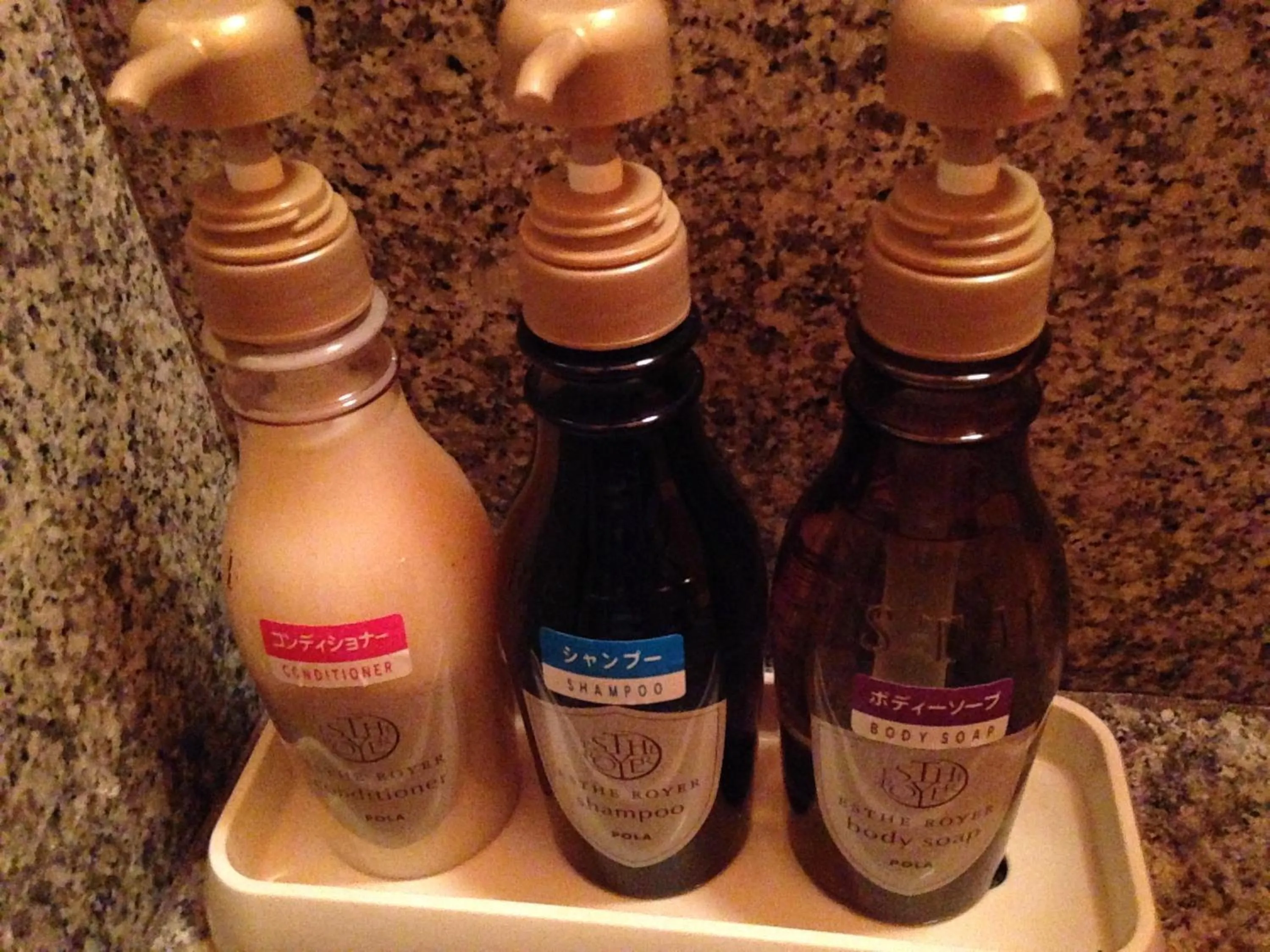 Public Bath in Kawakamiya Kasuitei