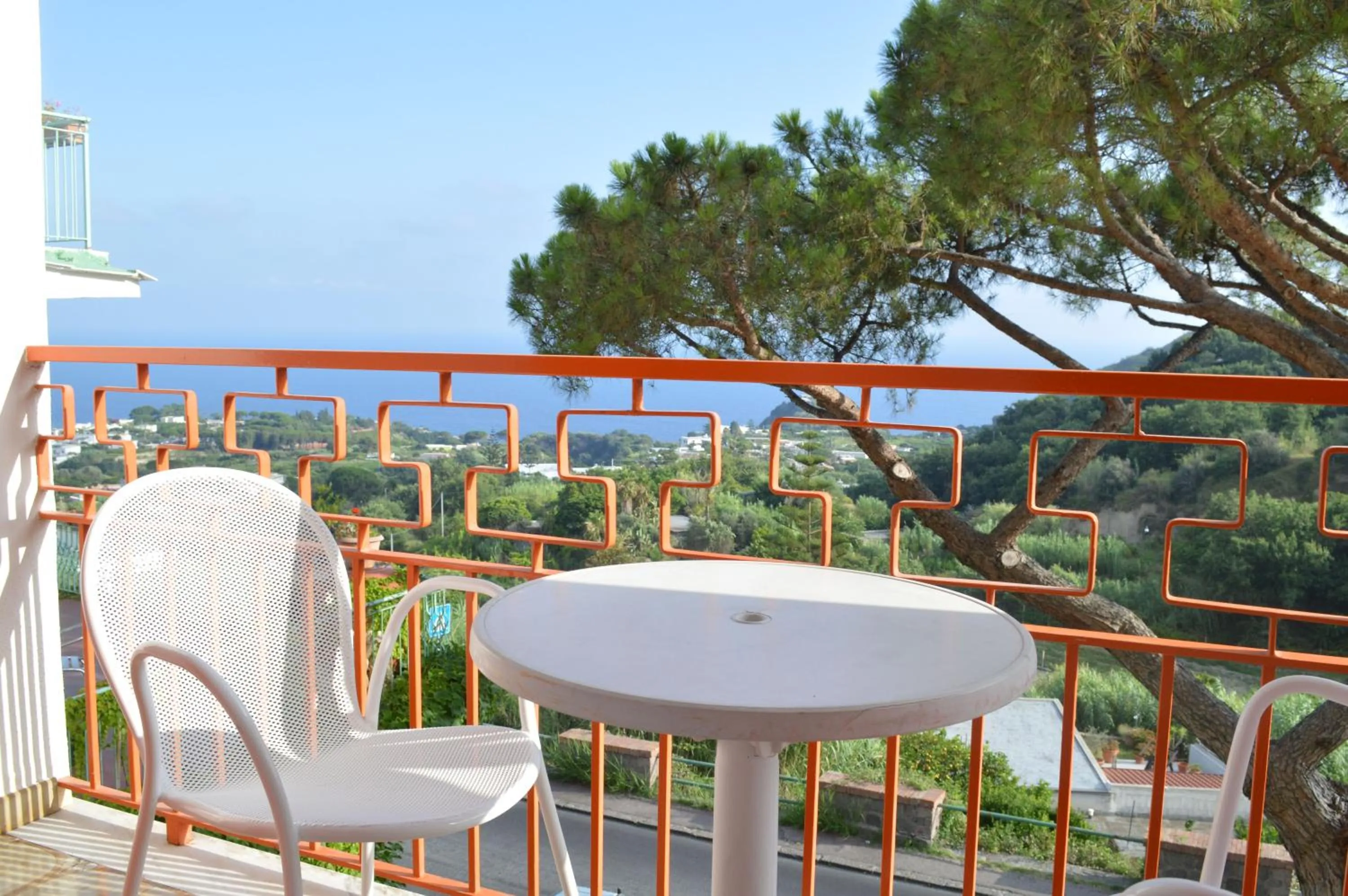 Balcony/Terrace in Hotel Polito