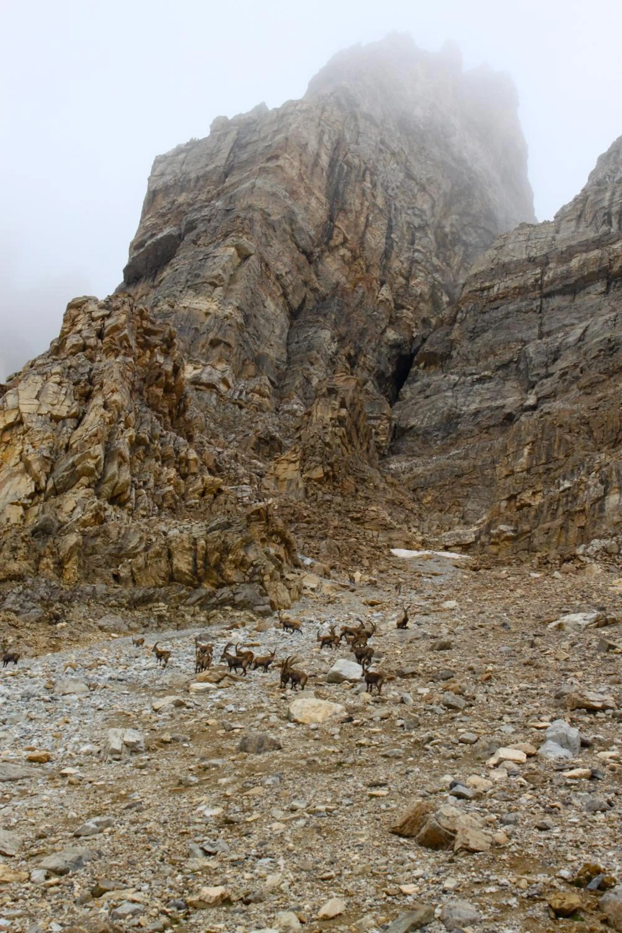 Hiking in Pension Laresch