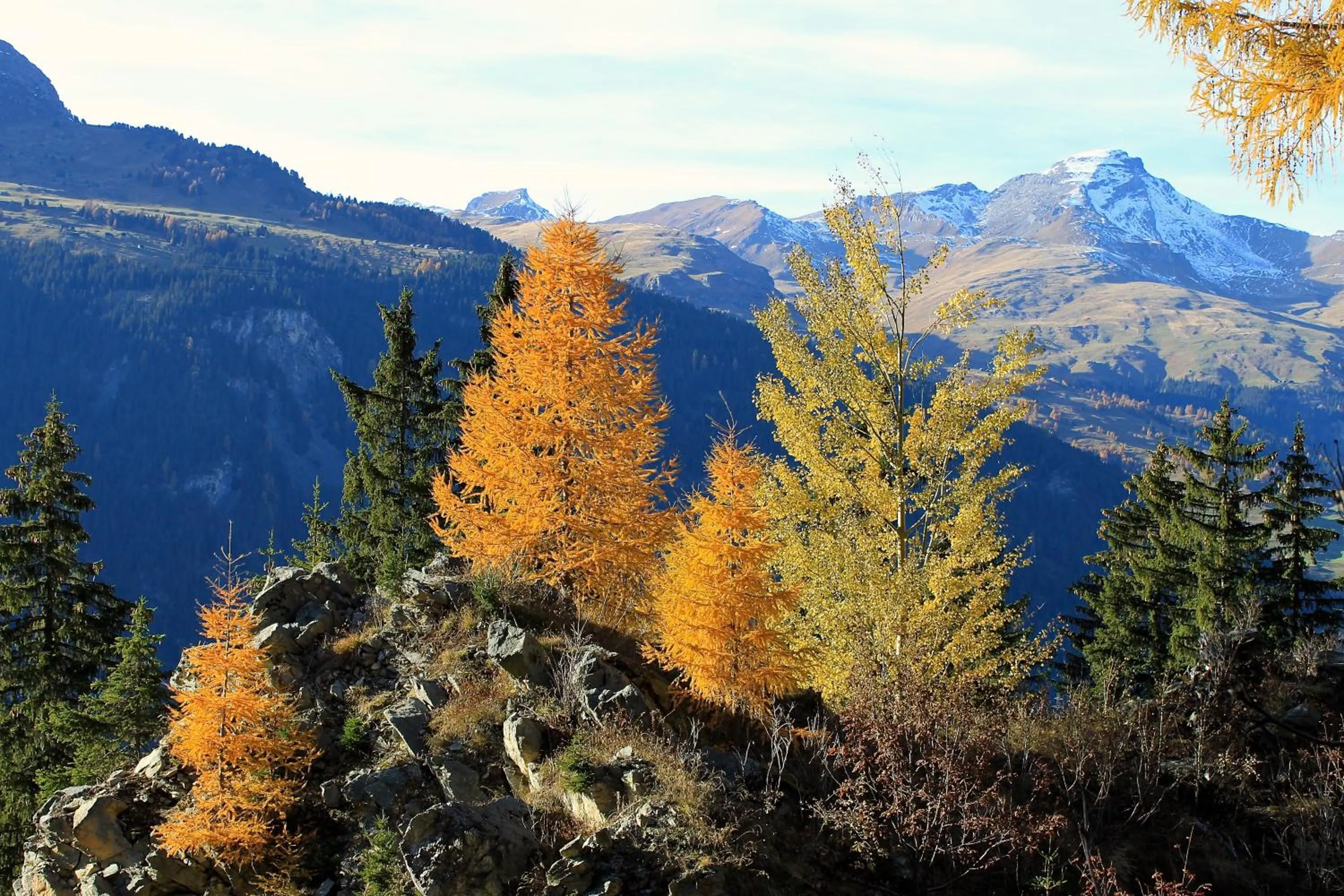 Natural landscape in Pension Laresch