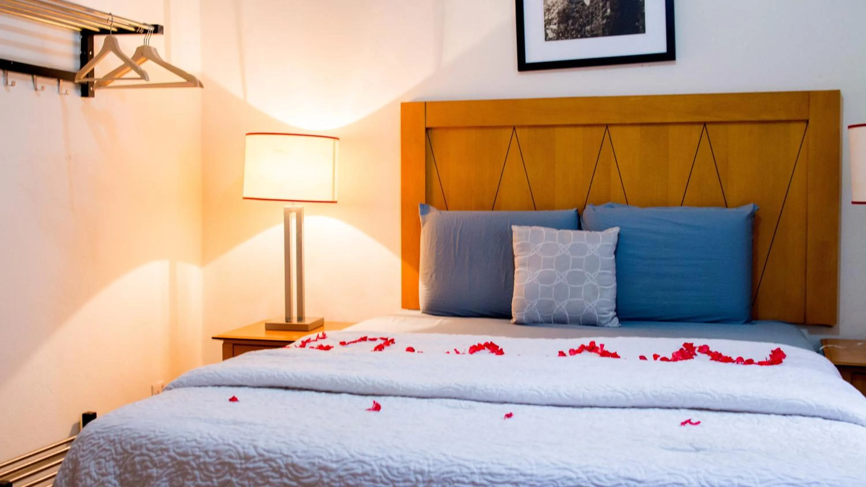 Bed in The Jam Lodge