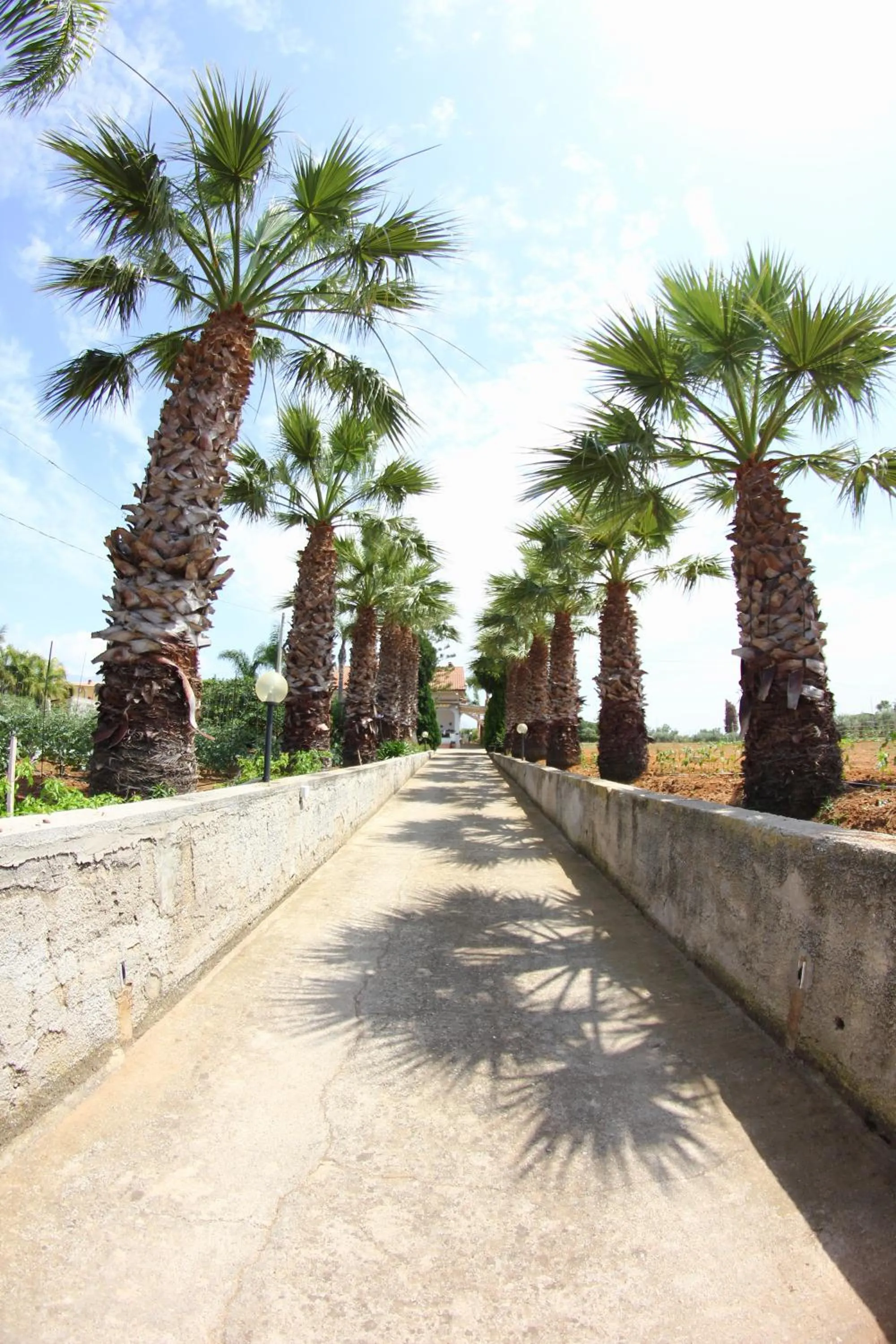 Garden view in B&B Menta & Peperoncino