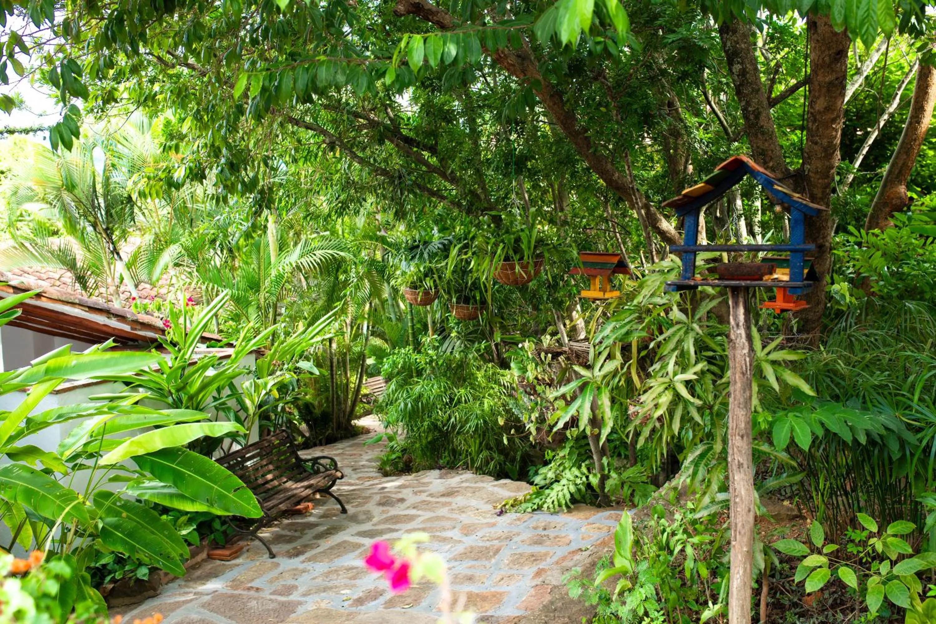 Garden in Achiotte by Masaya Collection