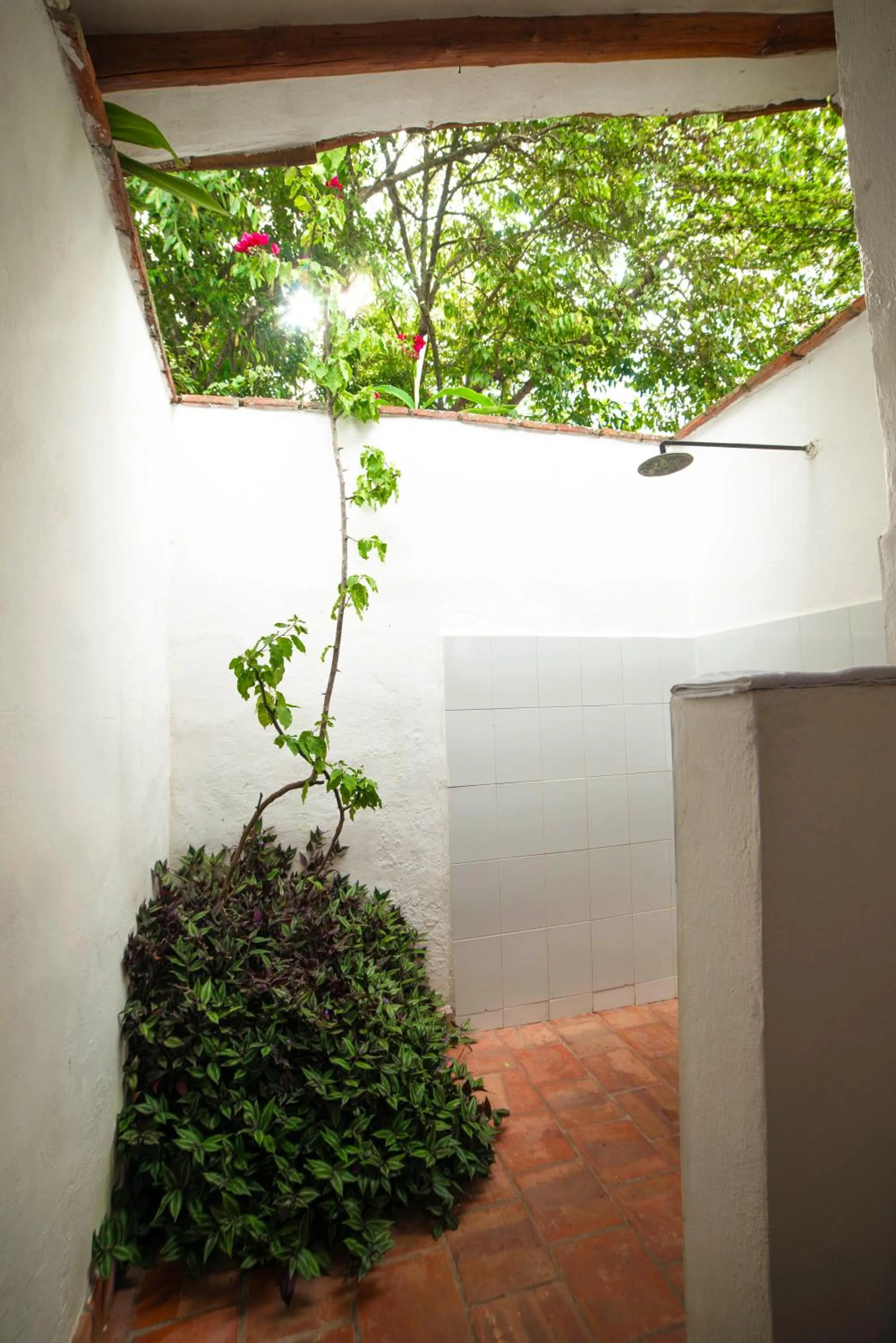 Bathroom in Achiotte by Masaya Collection