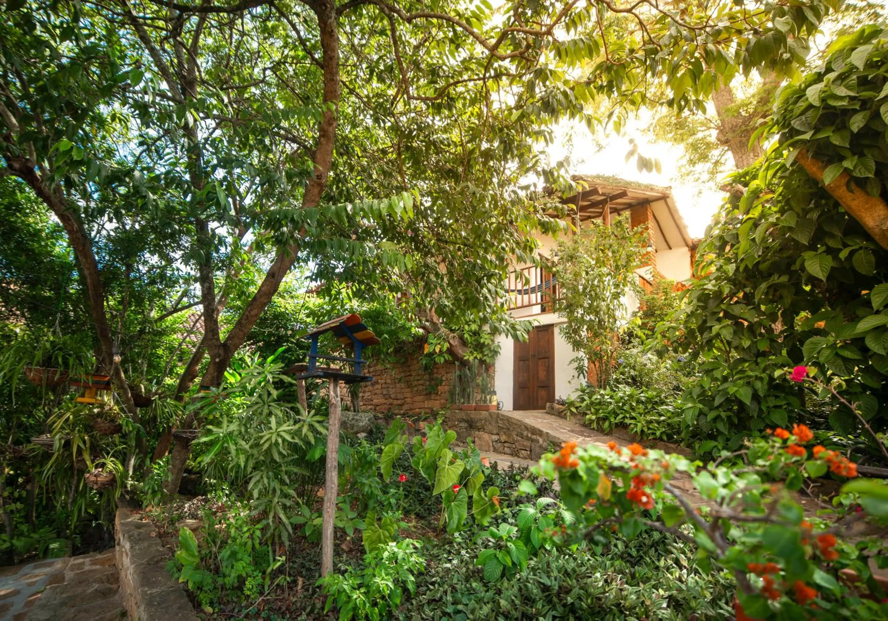 Property building in Achiotte by Masaya Collection