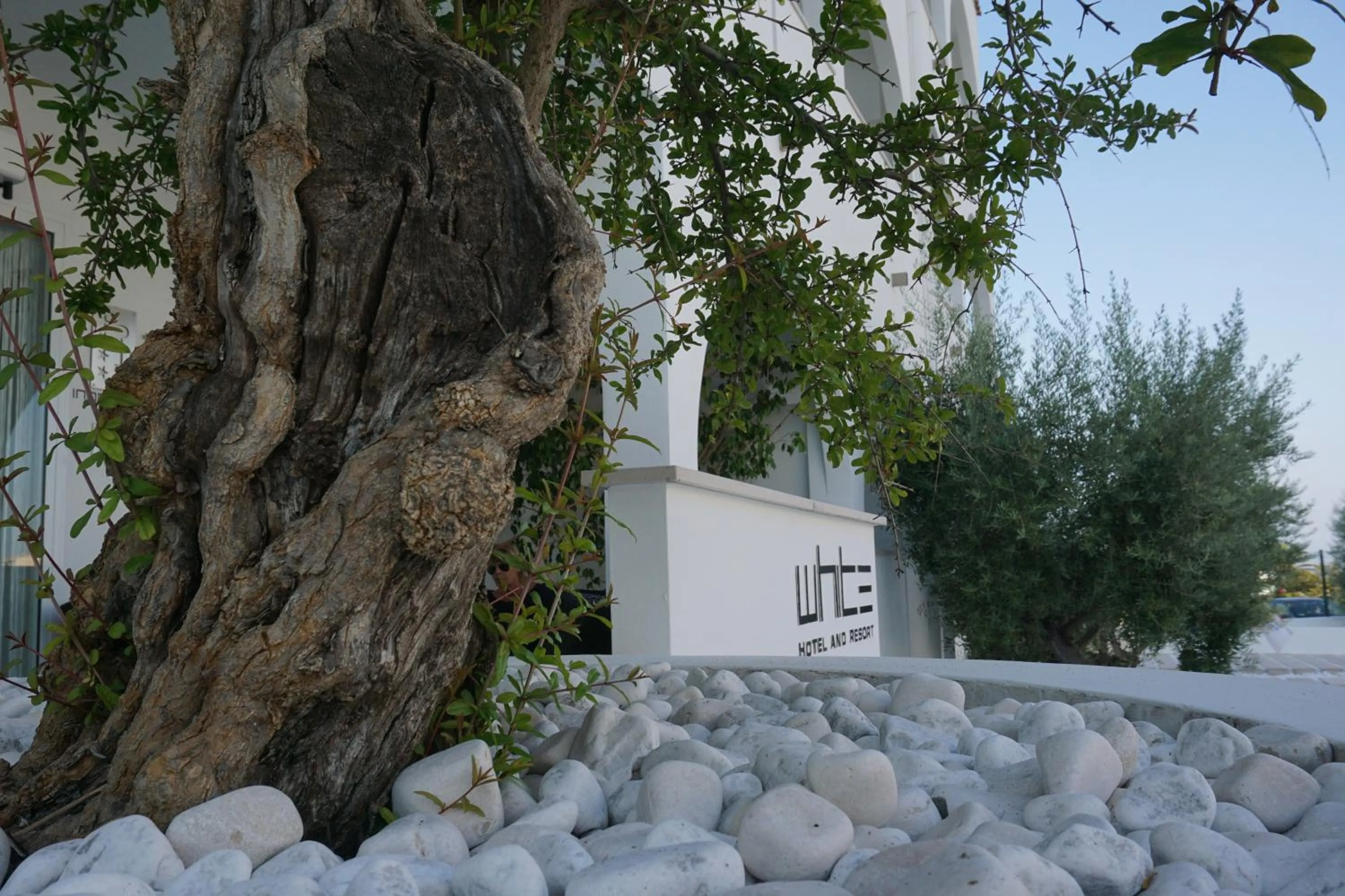 Facade/entrance in White Hotel