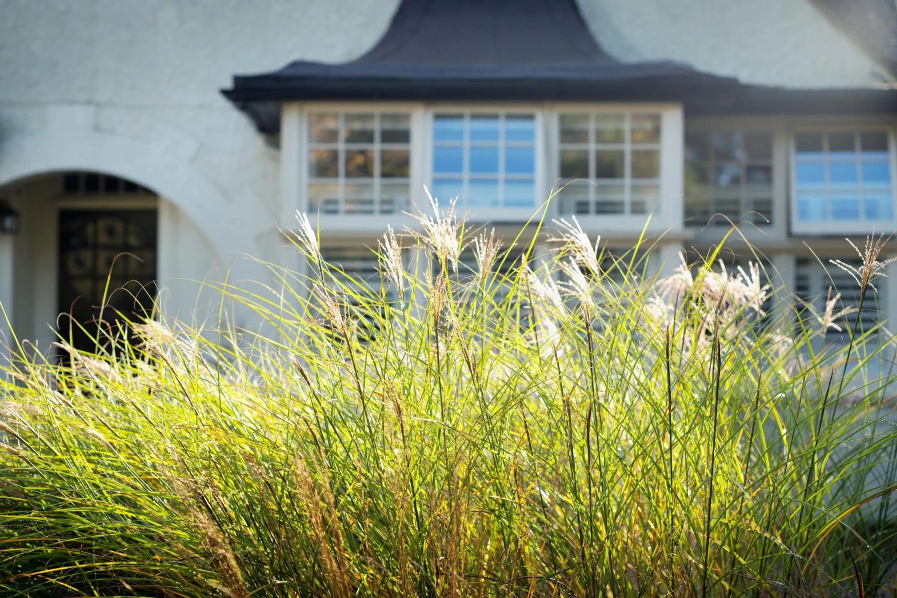 Property building in Daisybank Cottage Boutique Bed and Breakfast