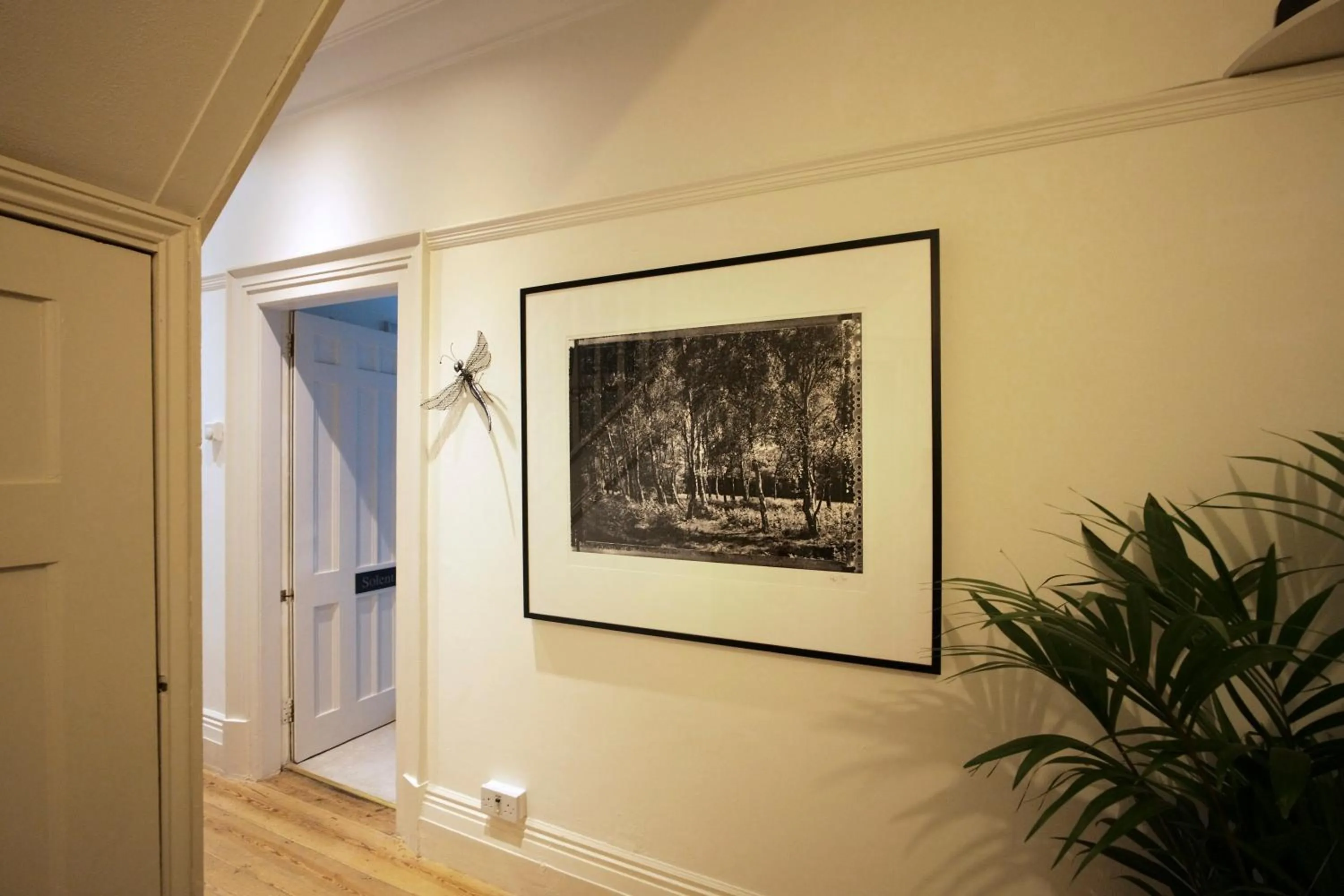 Other in Daisybank Cottage Boutique Bed and Breakfast