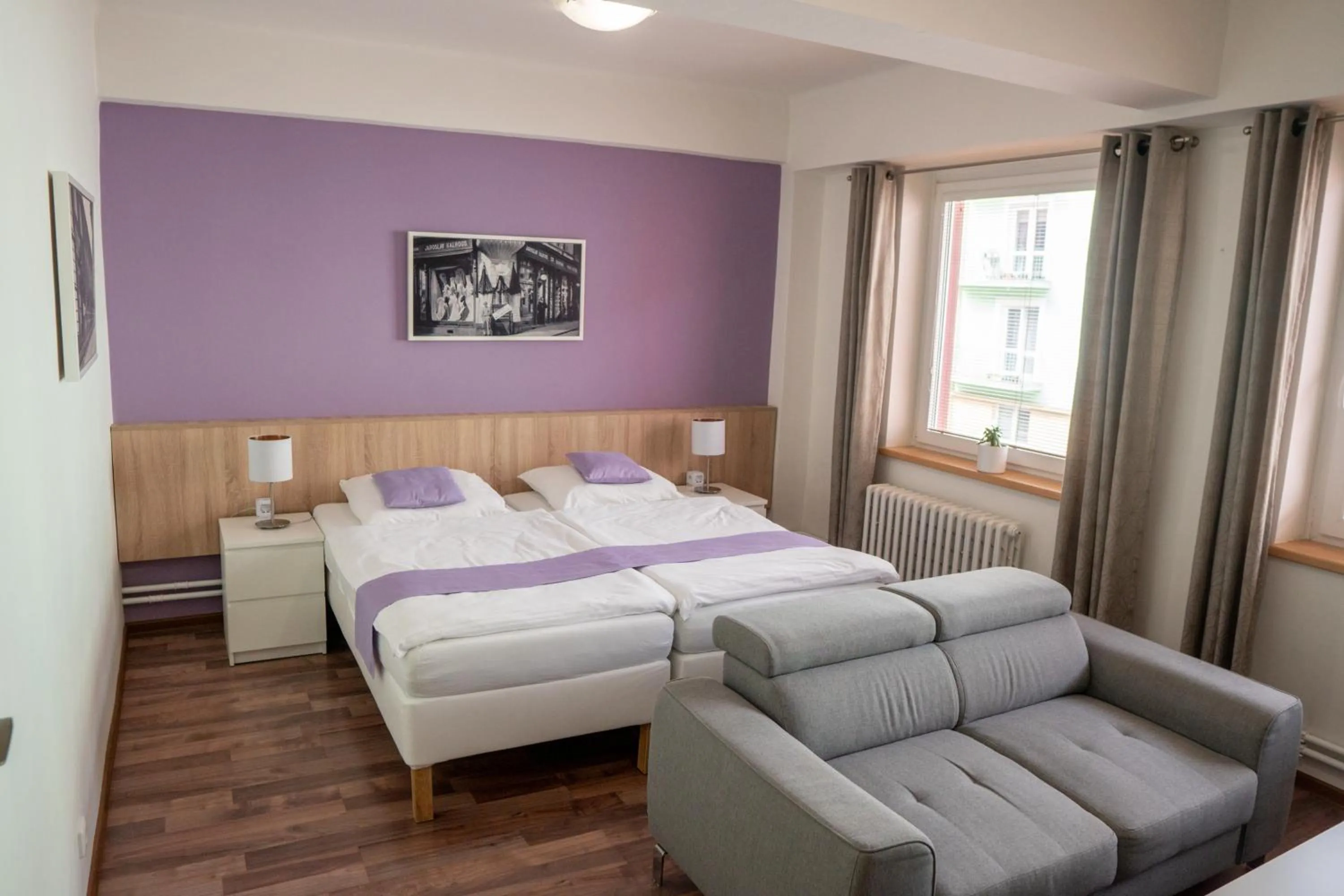 Standard Apartment in Penzion Staré Louny