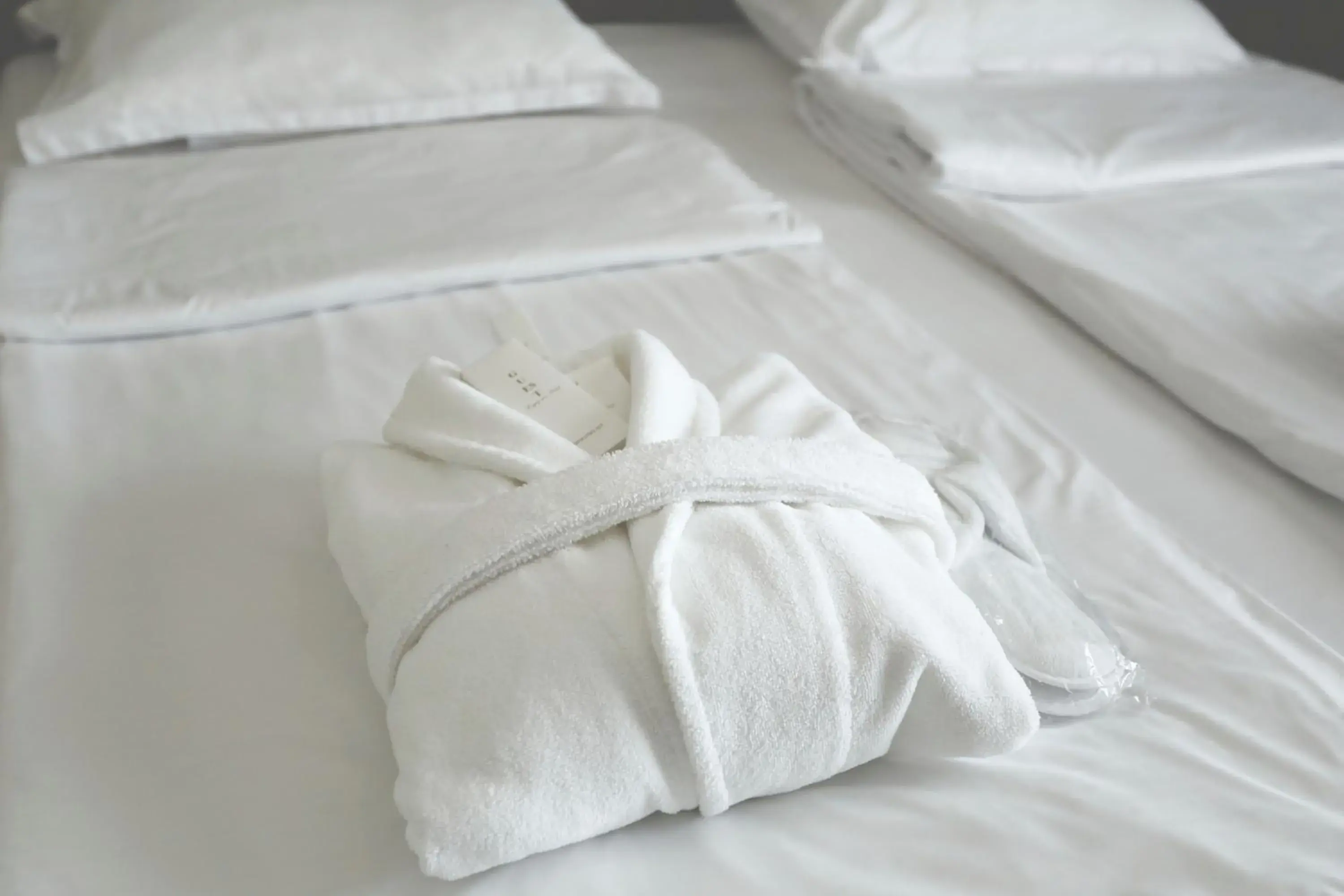 Double or Twin Room with Extra Bed in Hotel Homey Kobuleti Double or Twin Room with Extra Bed in Hotel Homey Kobuleti