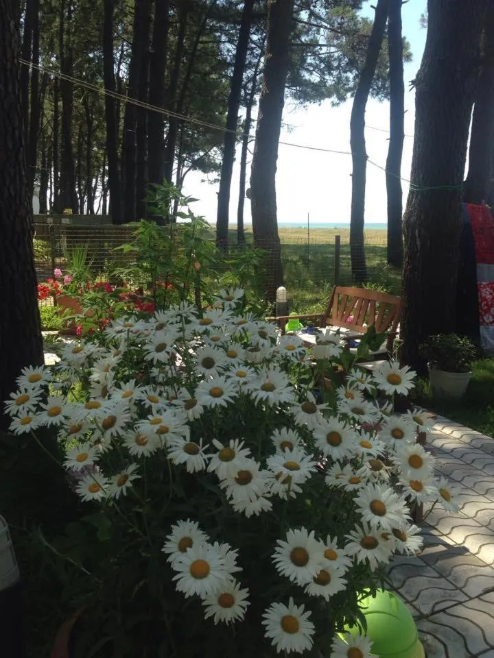 Area and facilities in Mana-Mana