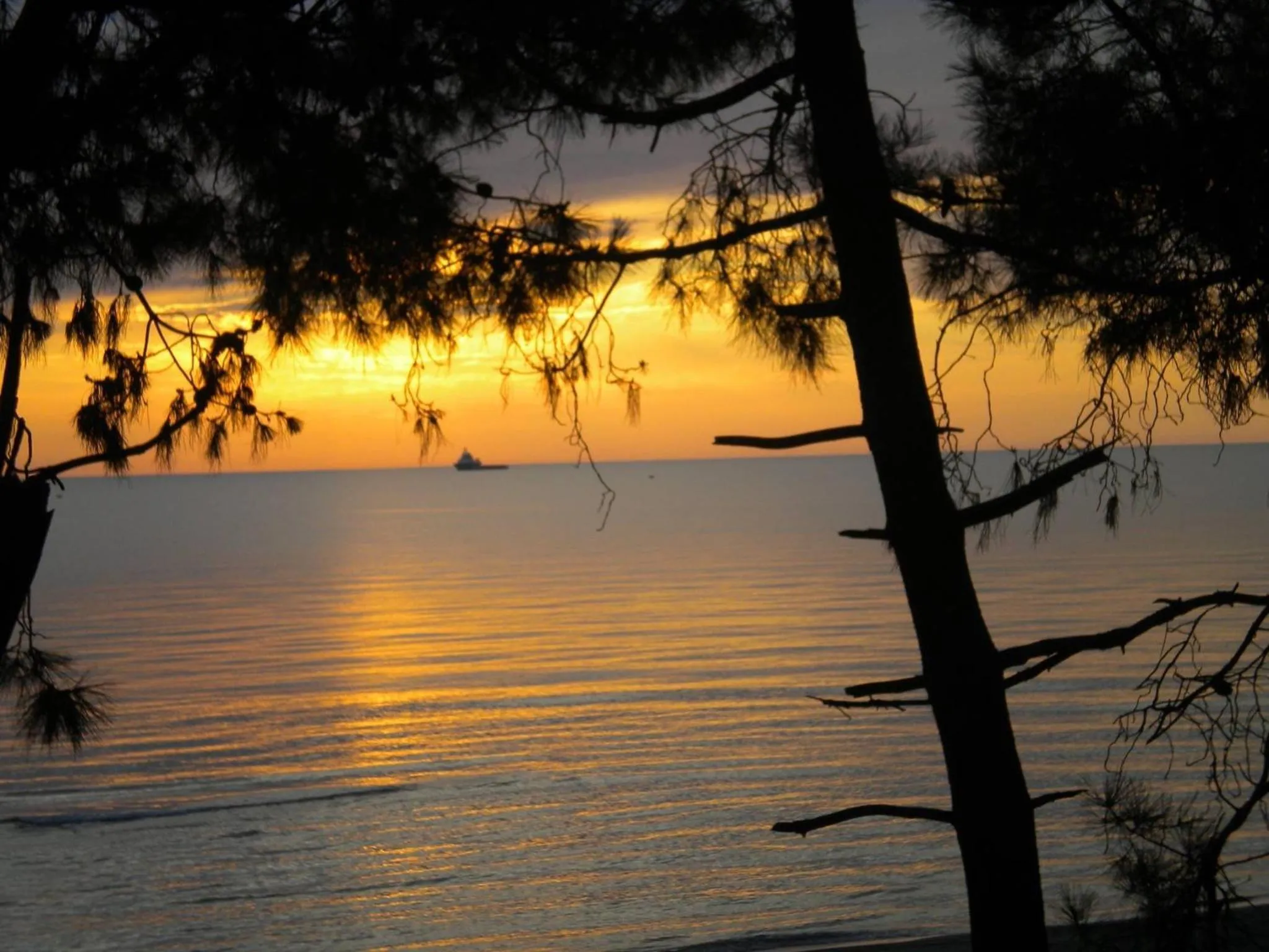 Natural landscape in Mana-Mana