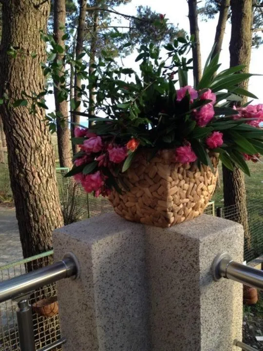 Property building in Mana-Mana