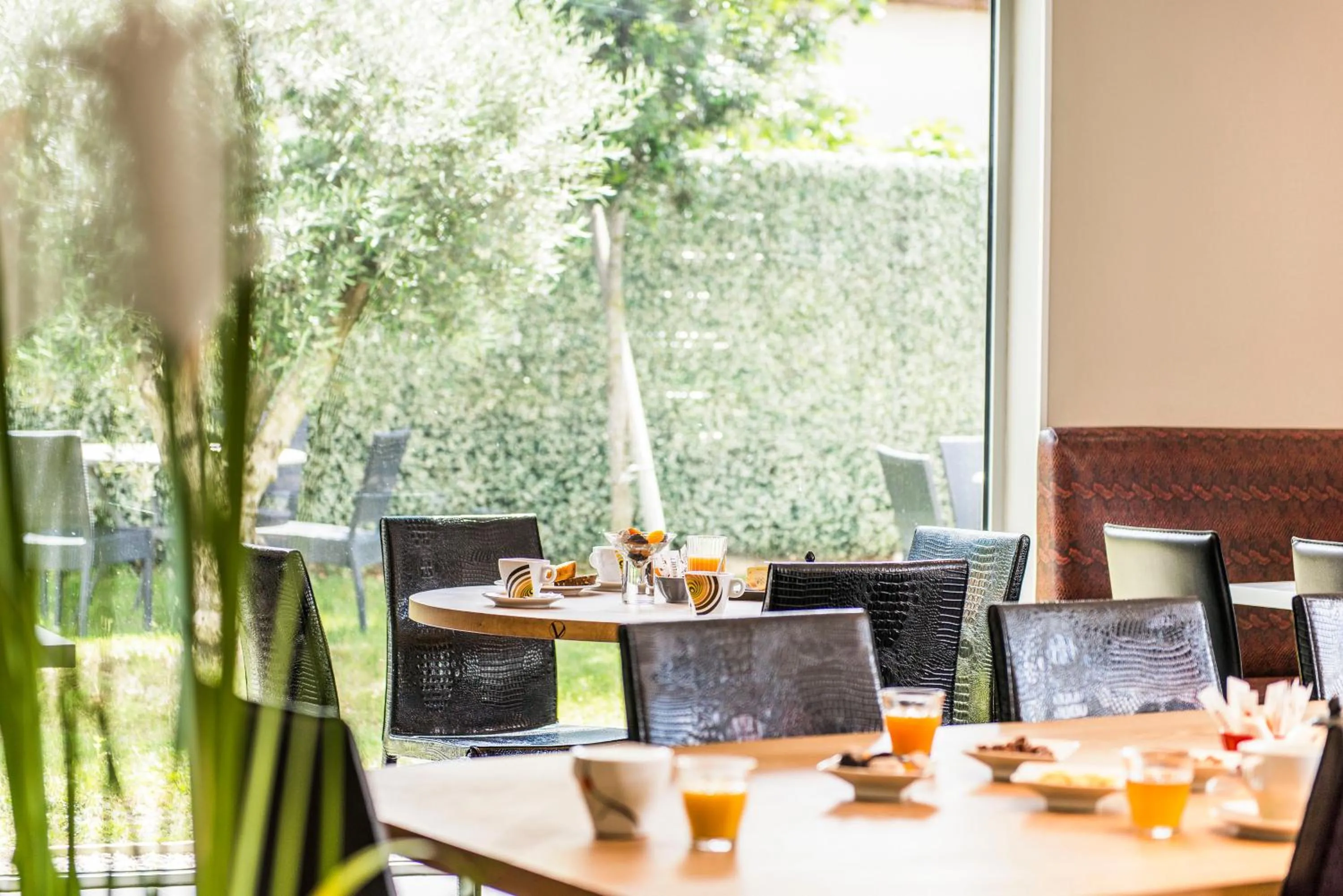 Continental breakfast in Kyriad Lyon Est Stadium Eurexpo Meyzieu