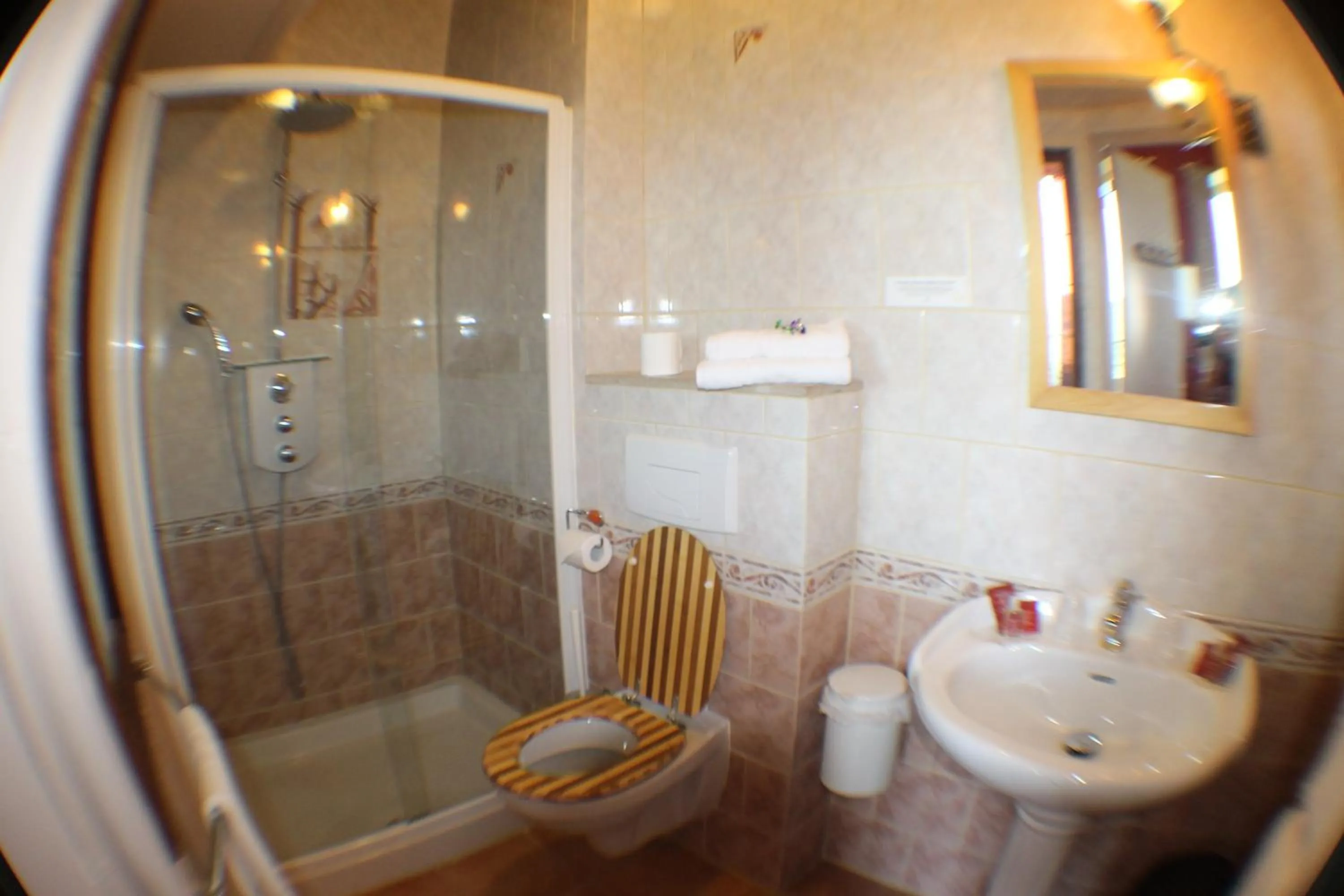 Bathroom in Hotel Raymond VII