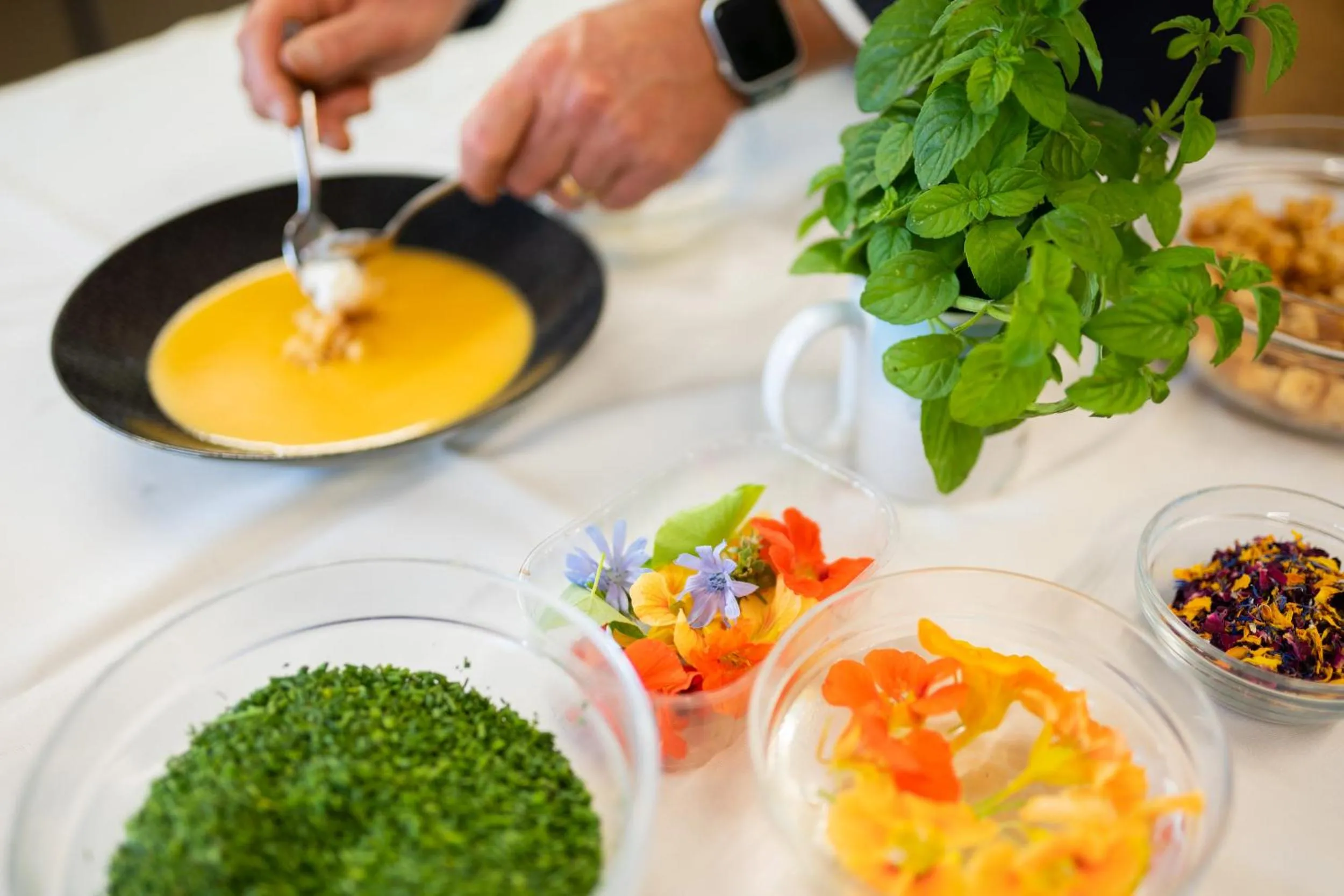 Restaurant/places to eat in Hotel Ortler