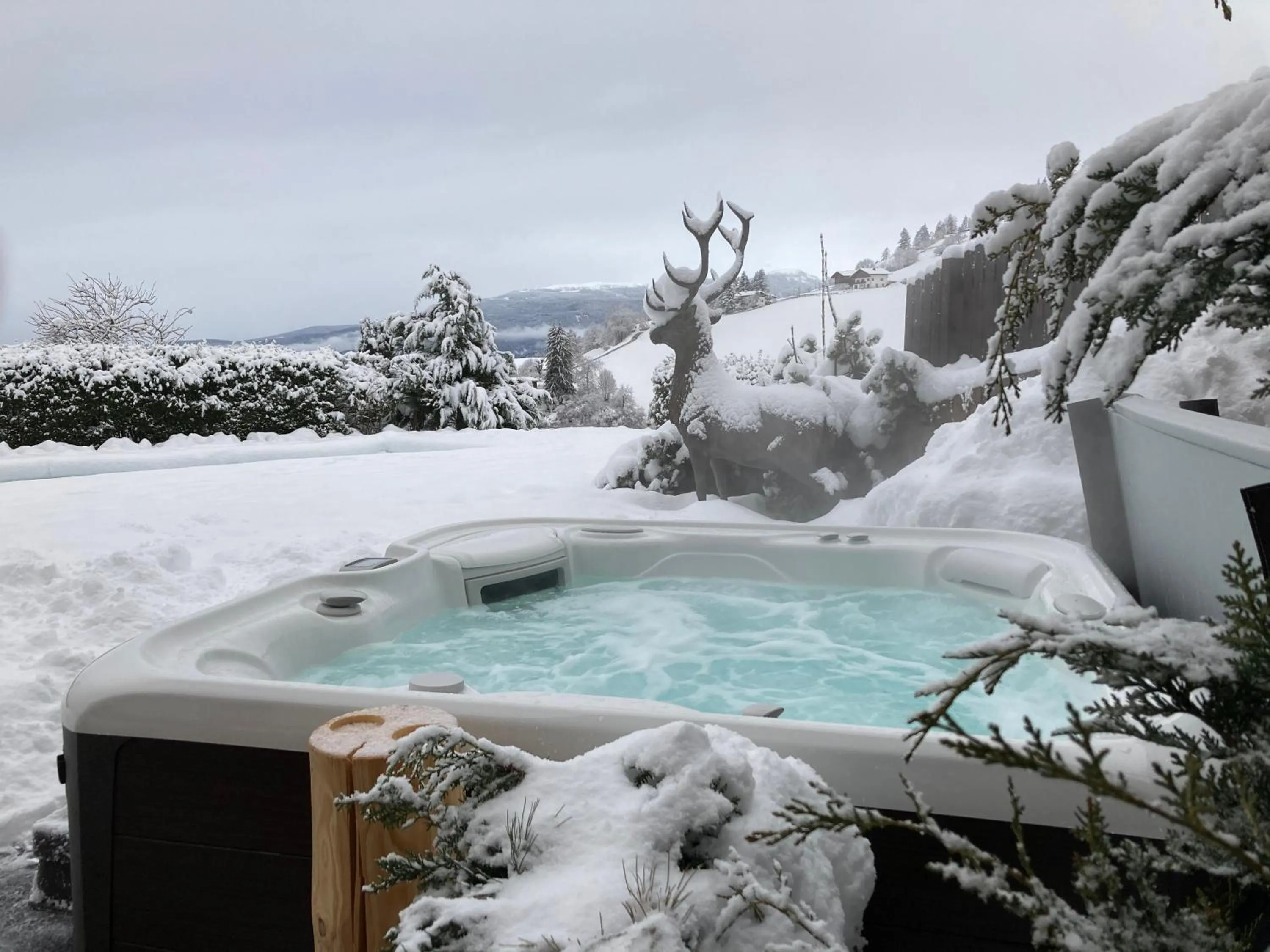 Hot Tub in Hotel Ortler