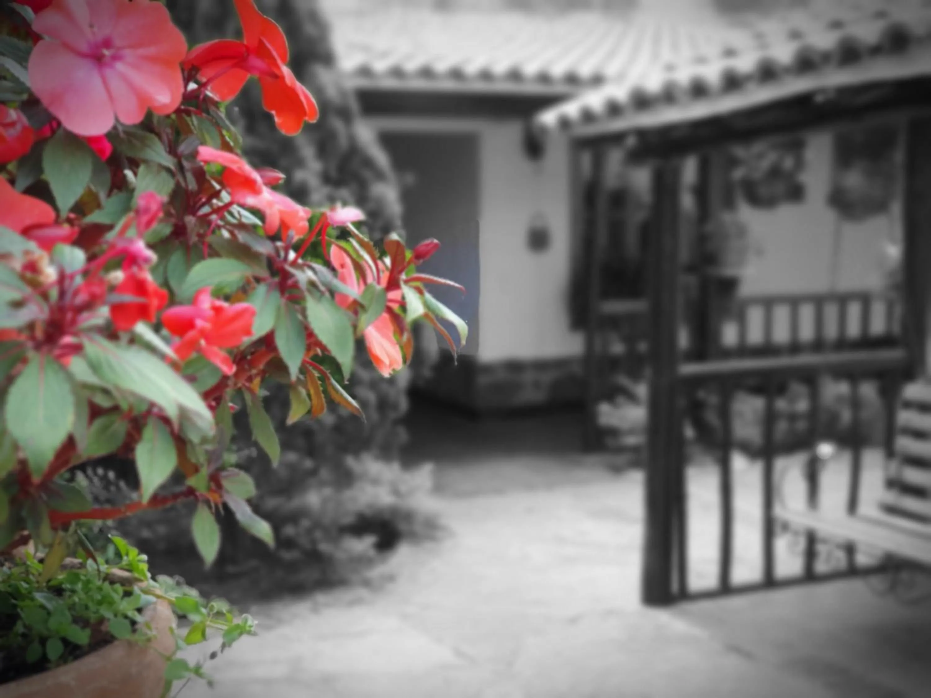 Garden in Hotel Quinta de Santa Ana