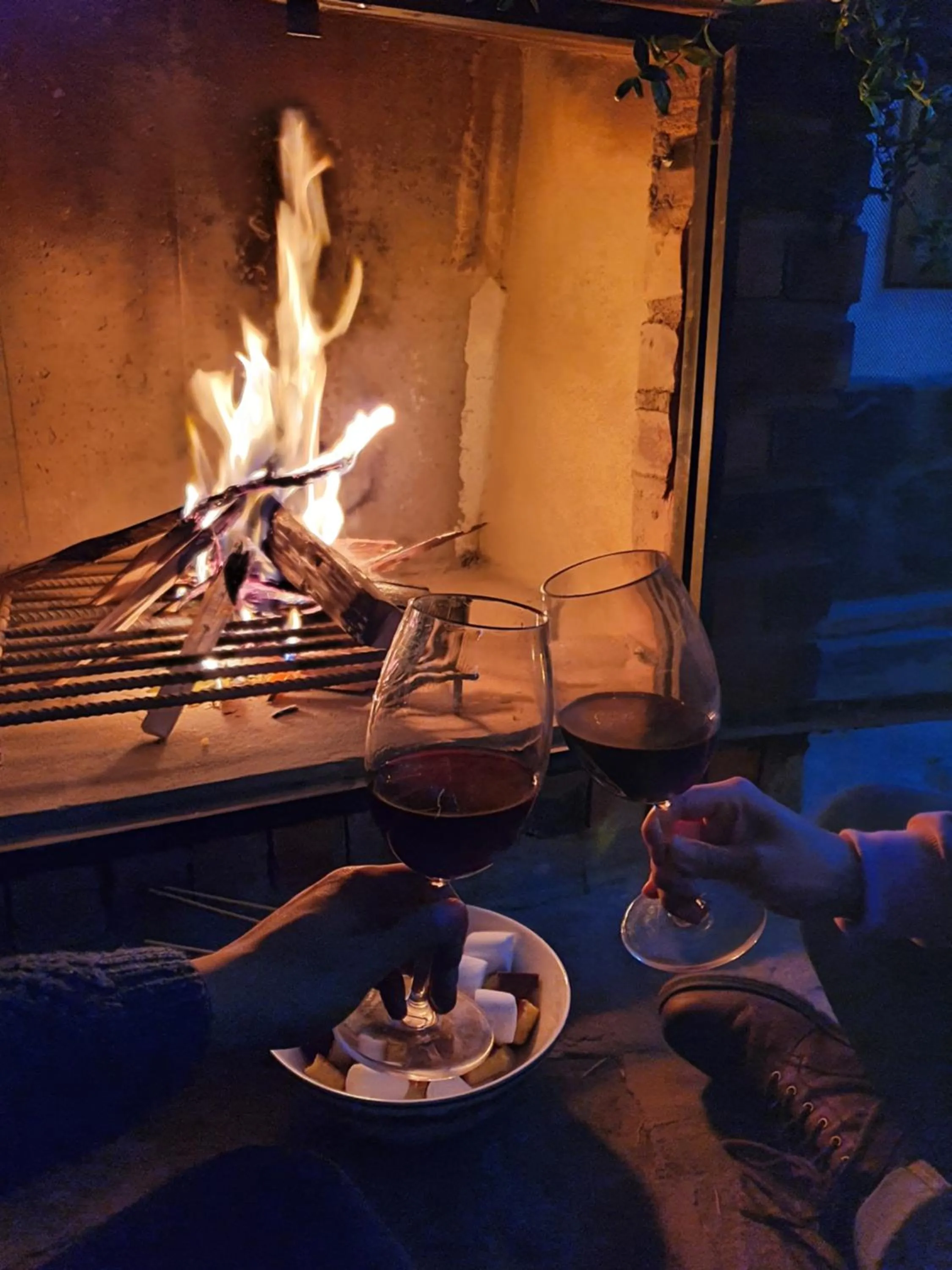 Food and drinks in Hotel Quinta de Santa Ana