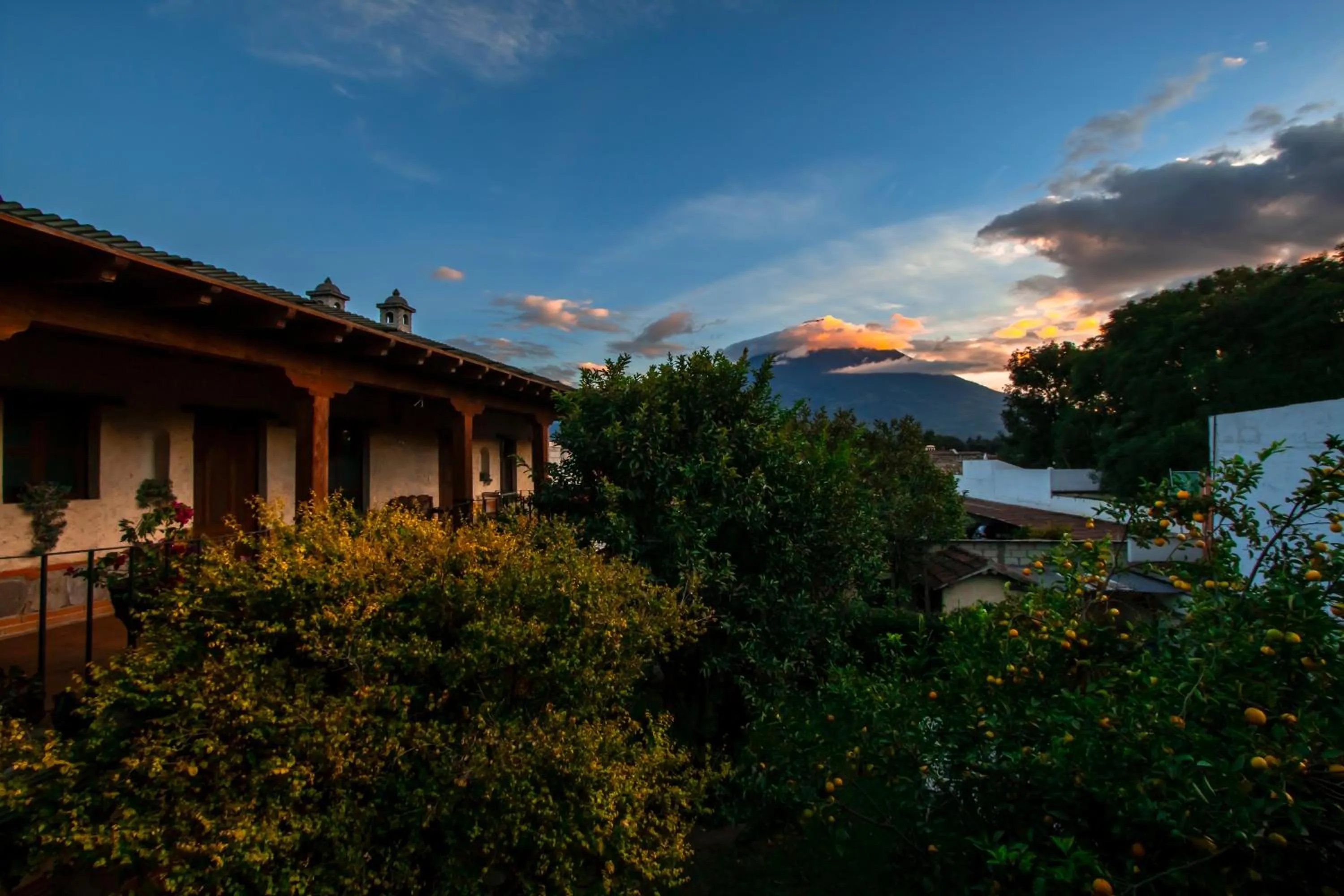Garden view in Naif Boutique Hotel