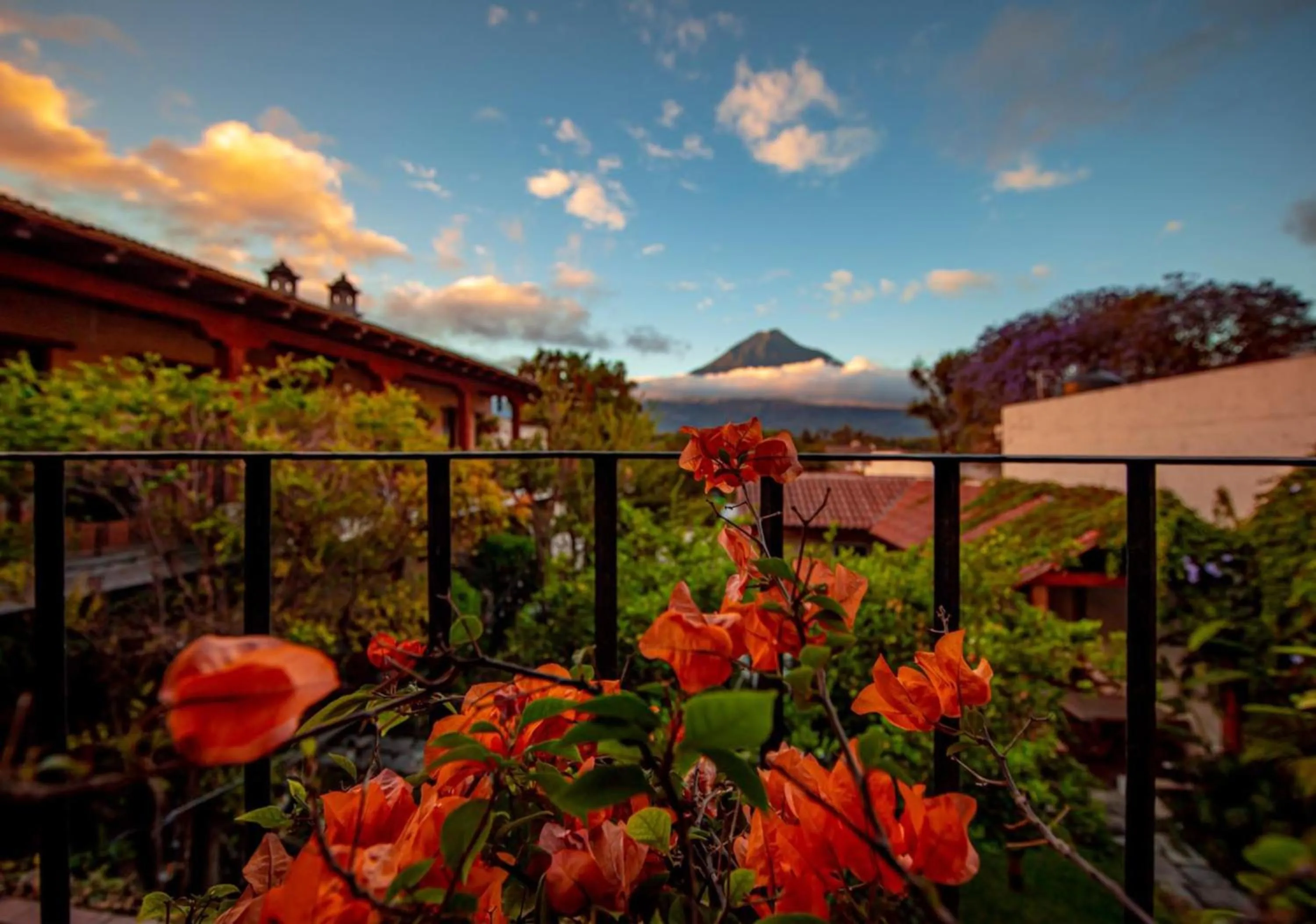 View (from property/room) in Naif Boutique Hotel