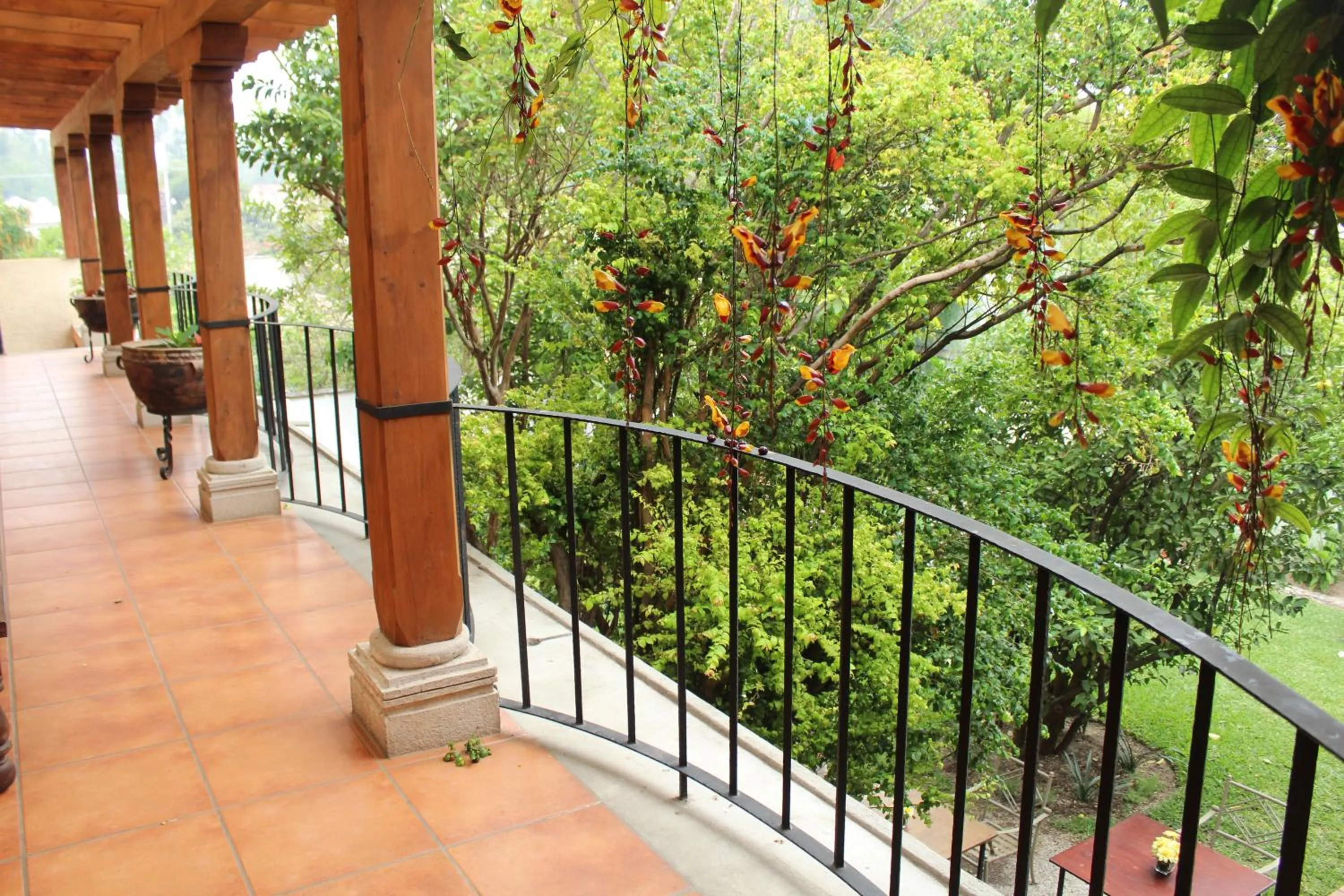 Area and facilities in Naif Boutique Hotel