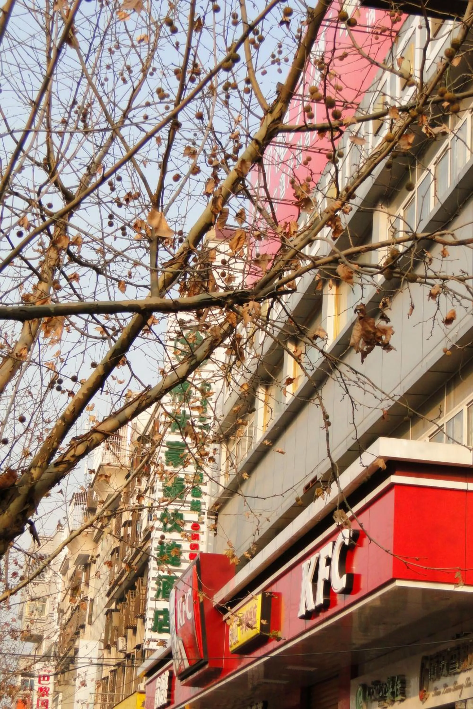 GreenTree Inn Fuyang Shopping Mall