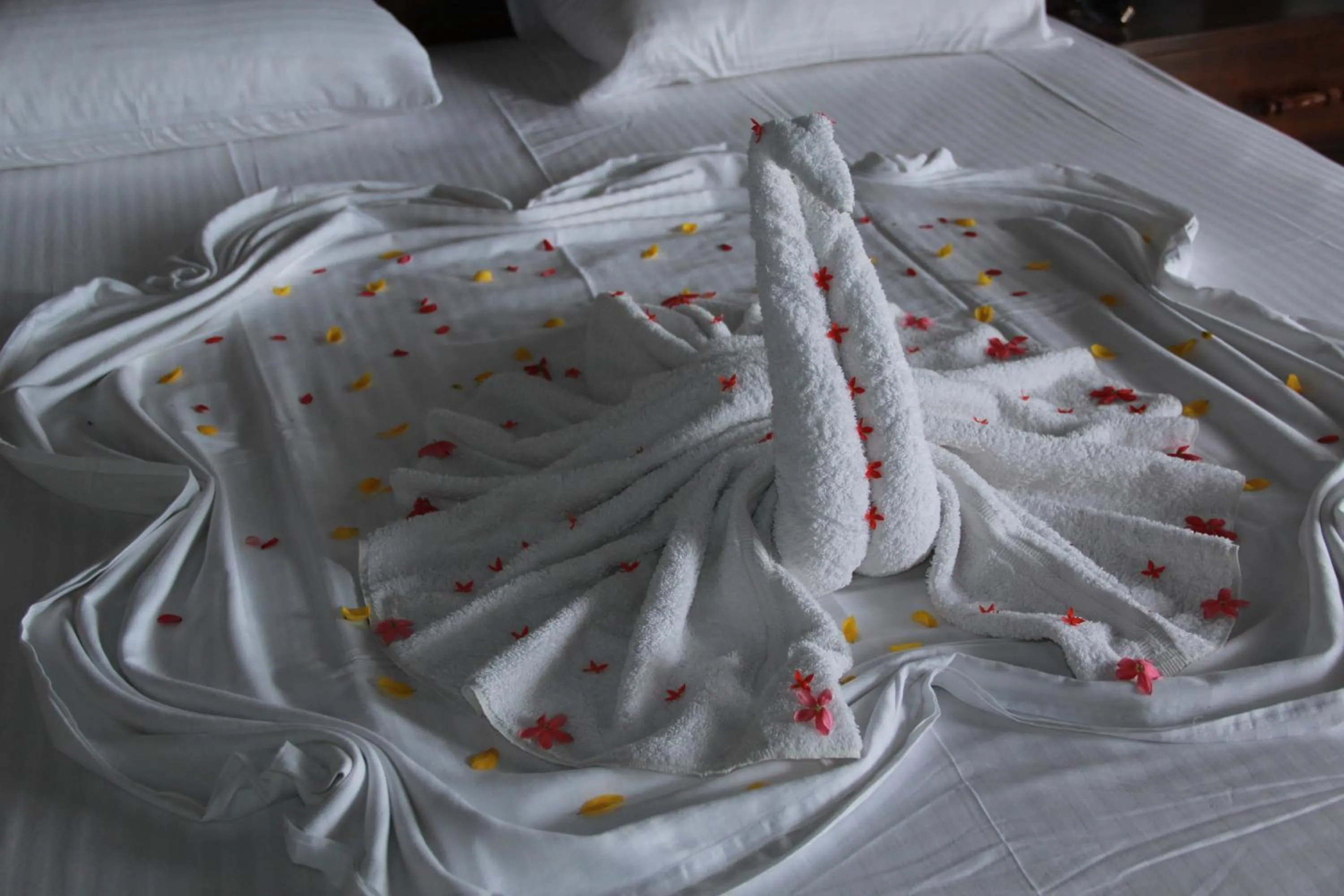 Decorative detail, Bed in Hideaway Lodge