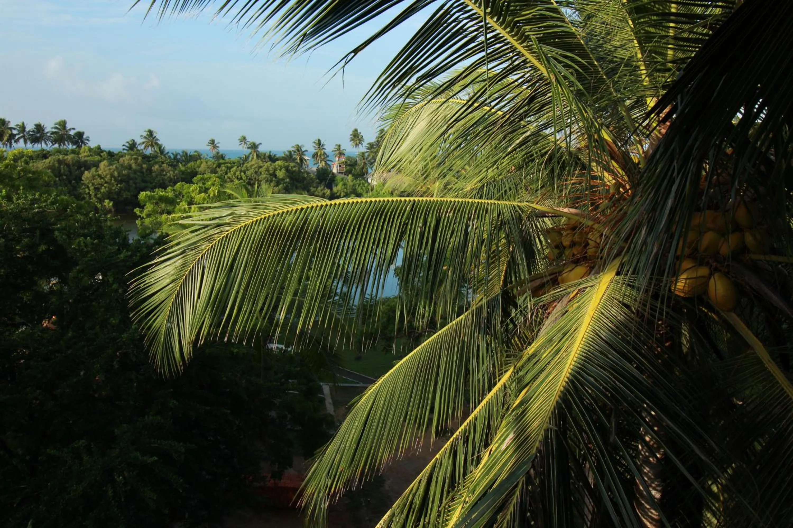 Sea view in Hideaway Lodge