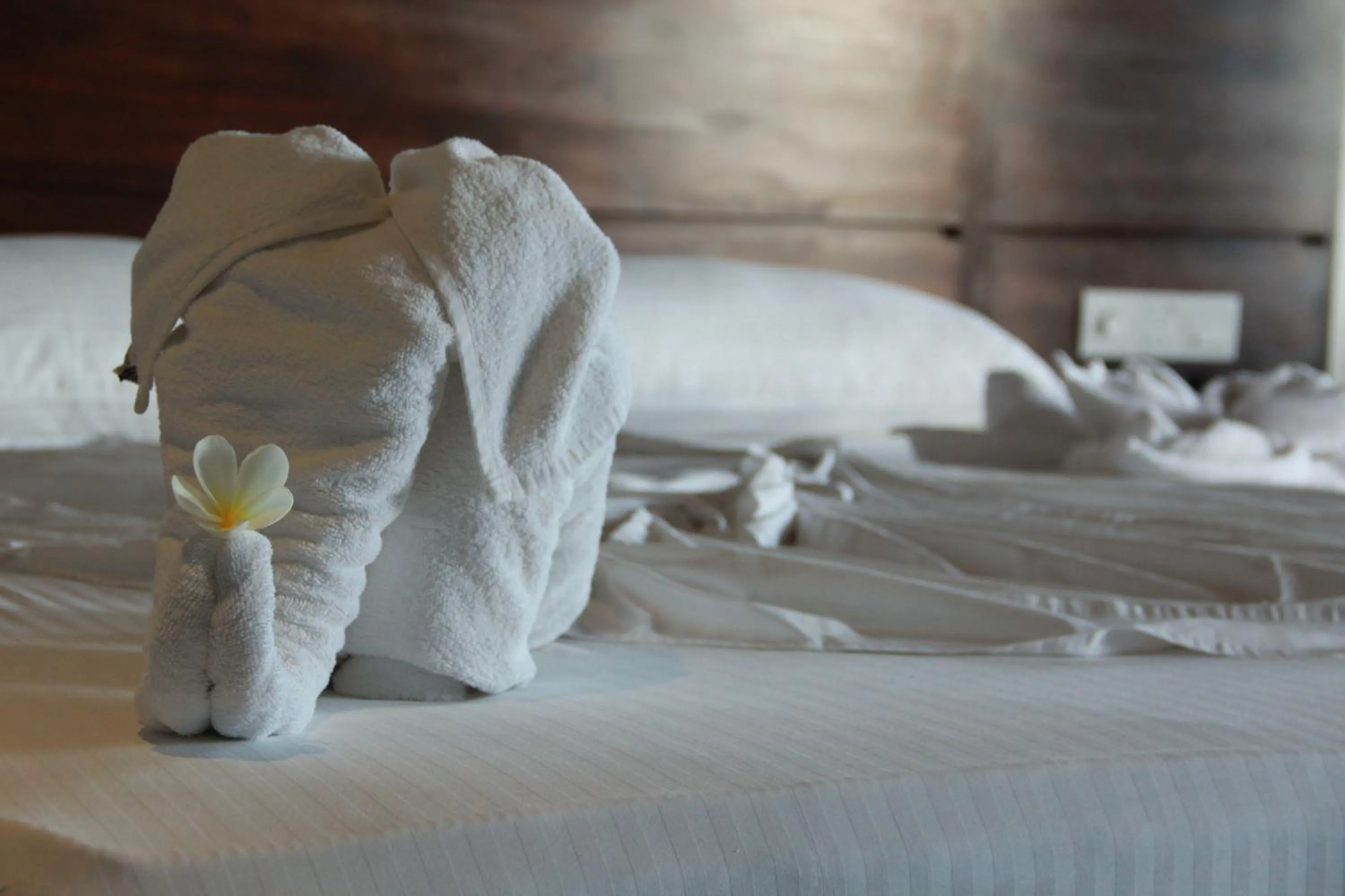 Decorative detail, Bed in Hideaway Lodge