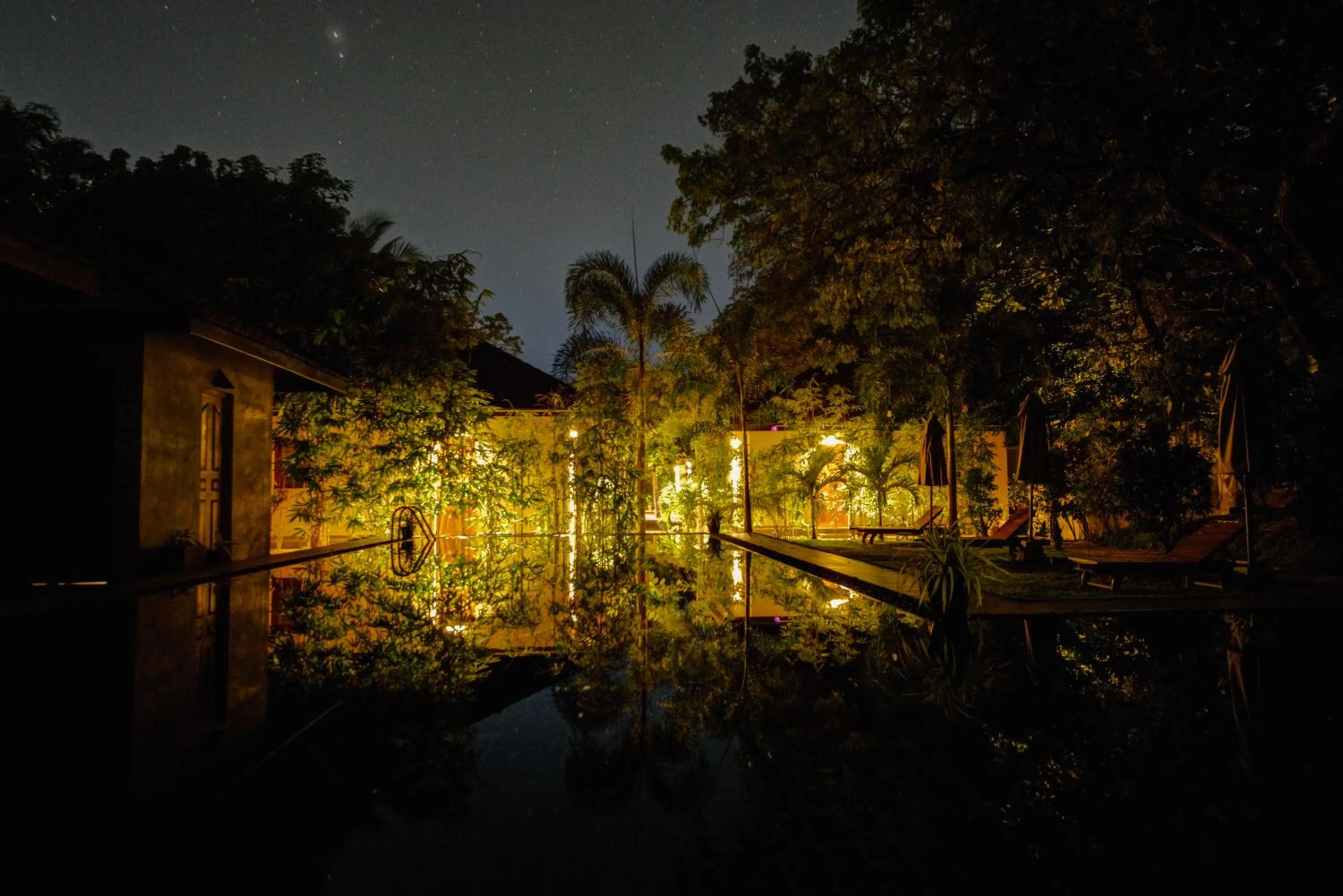 Night in The Spice Trail