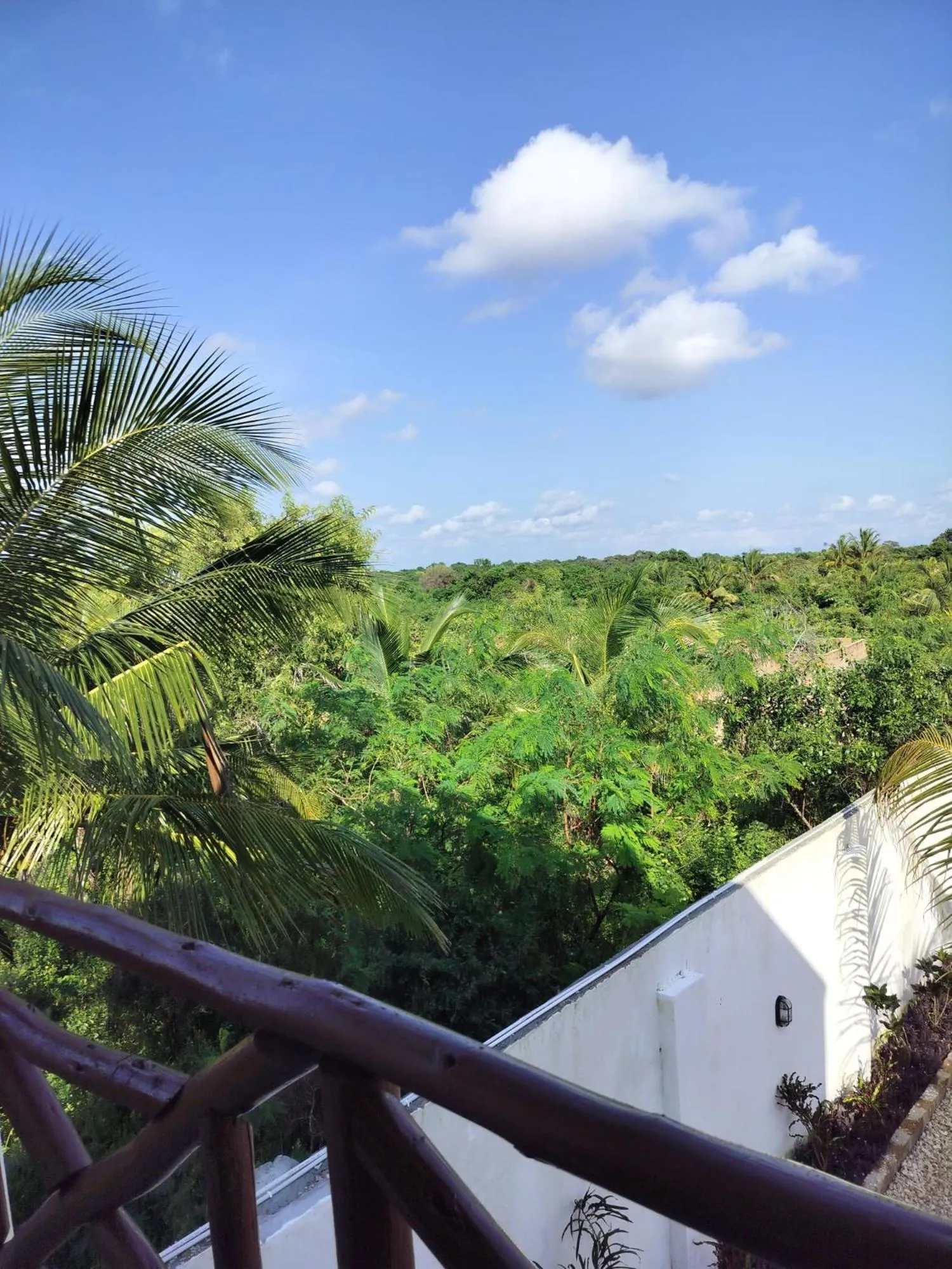 View (from property/room) in Andy's Inn