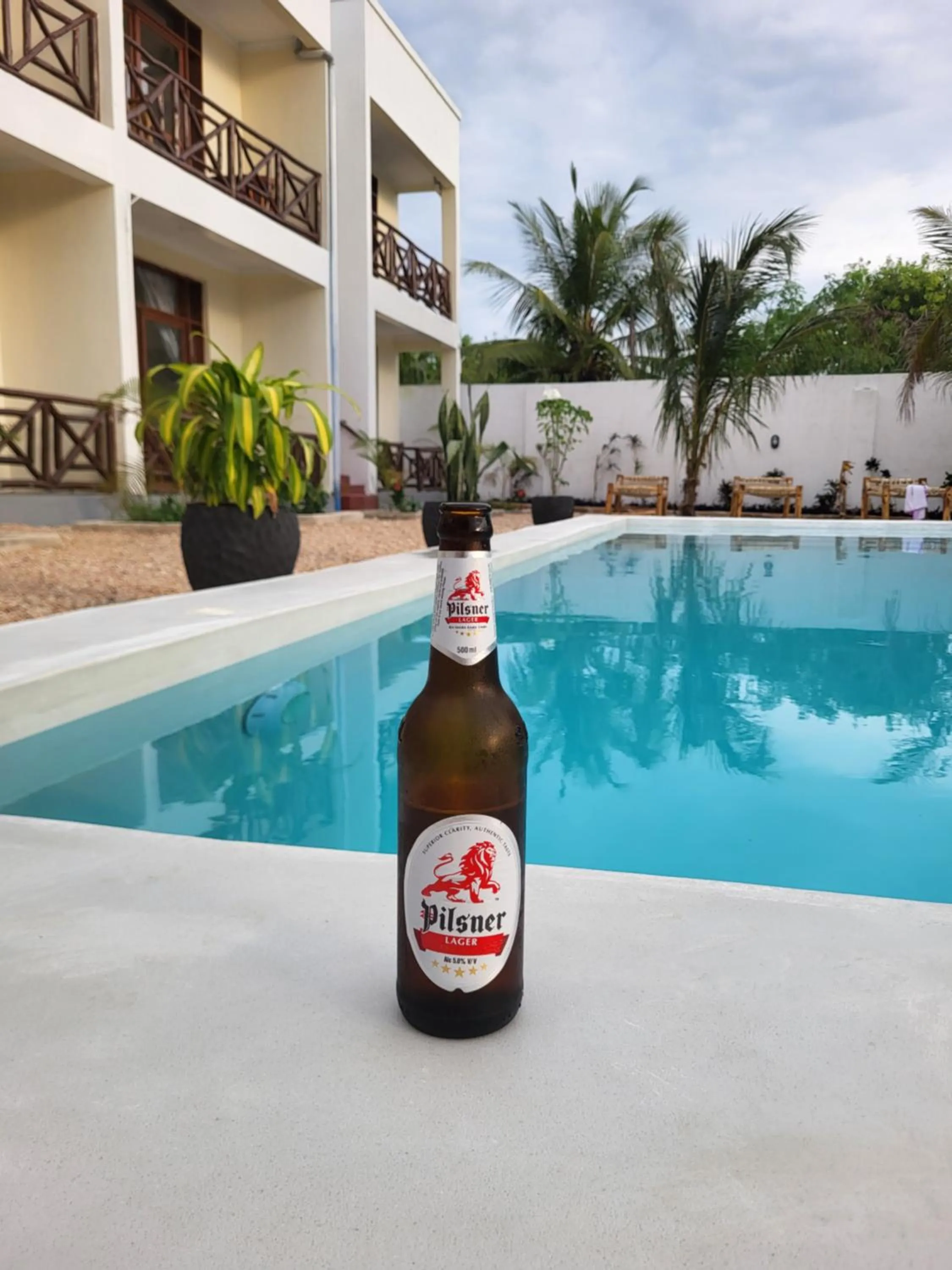 Food and drinks in Andy's Inn