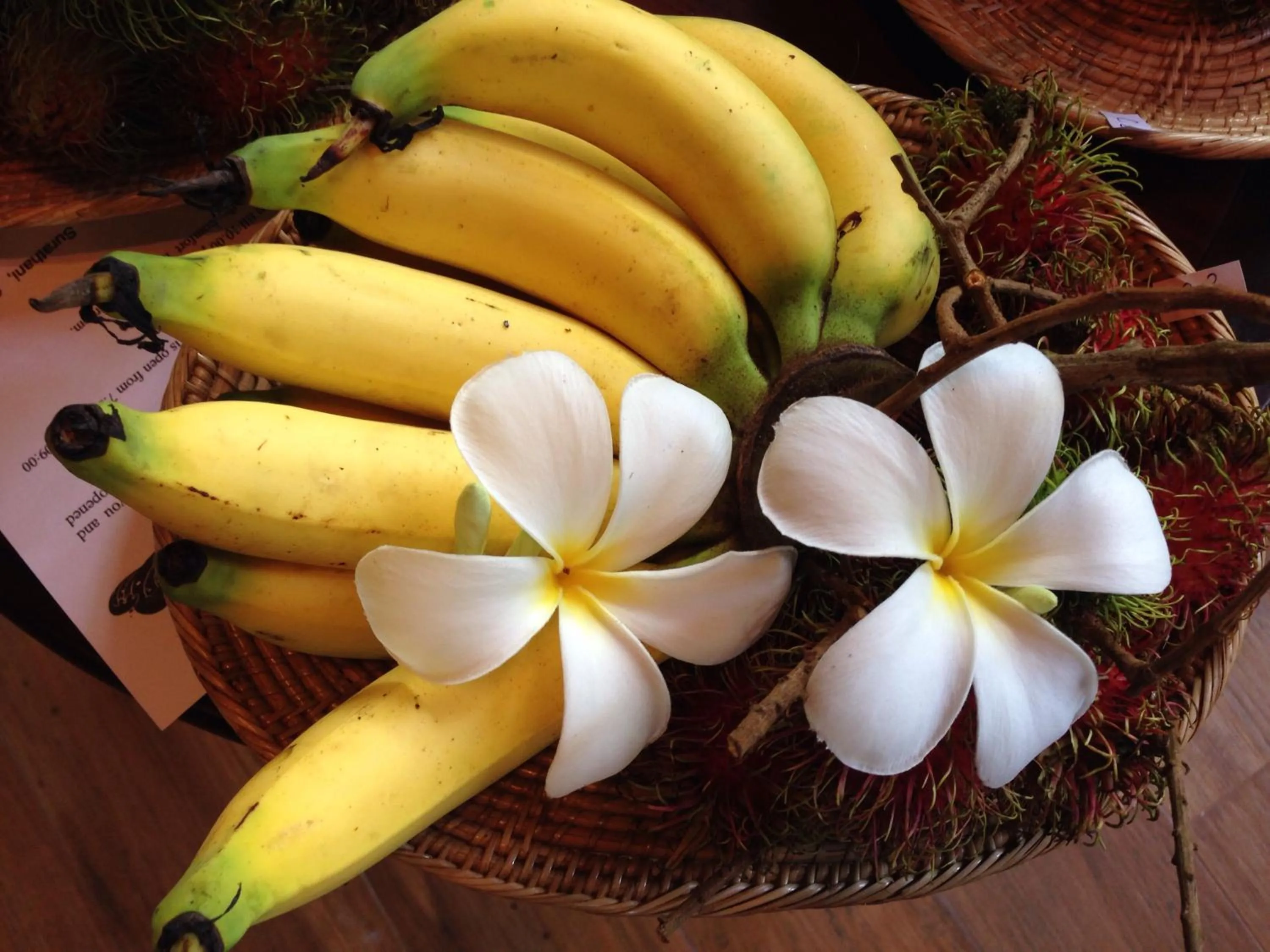 Food in Koh Tao Beach Club
