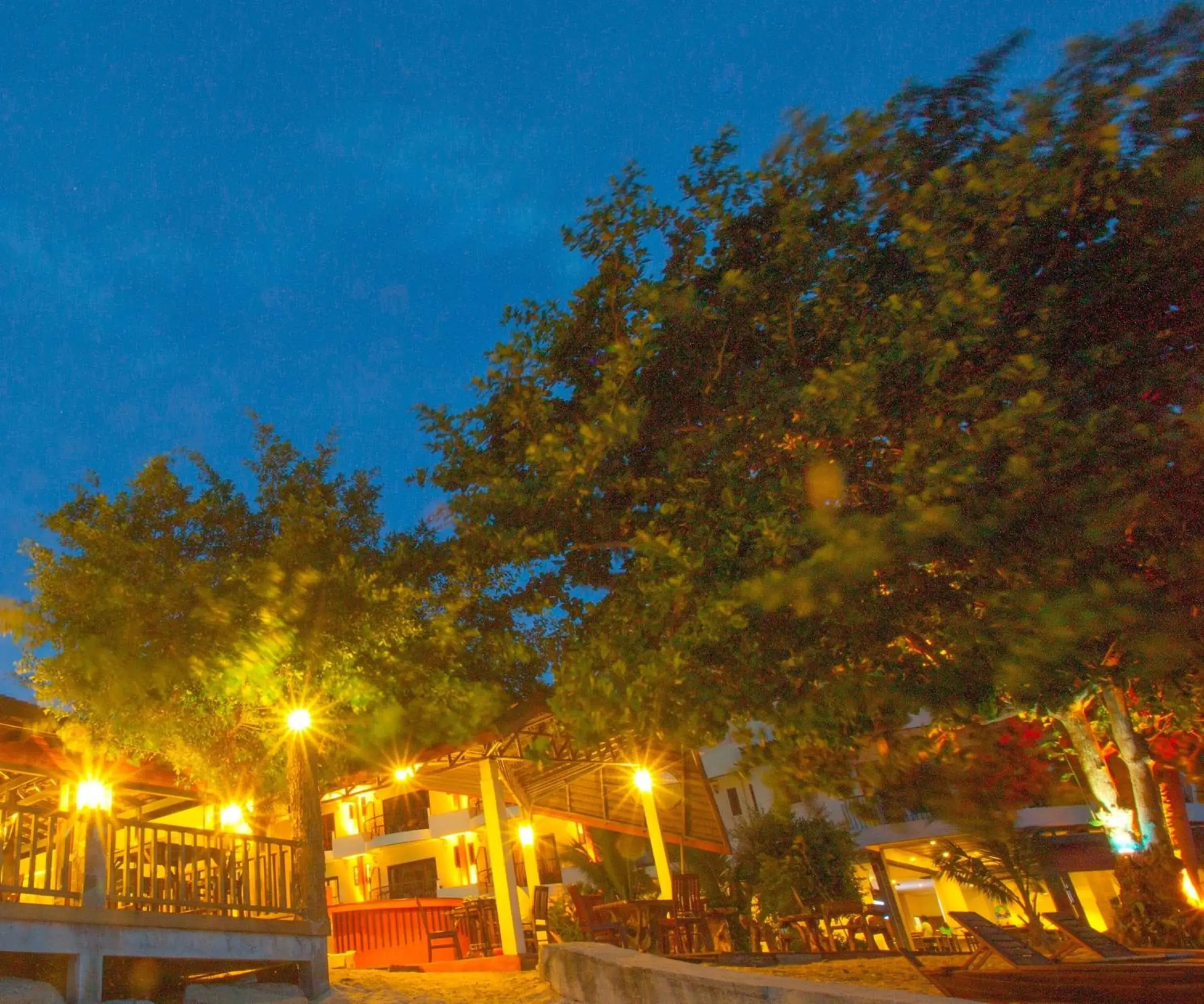 Lounge or bar in Koh Tao Beach Club Lounge or bar in Koh Tao Beach Club
