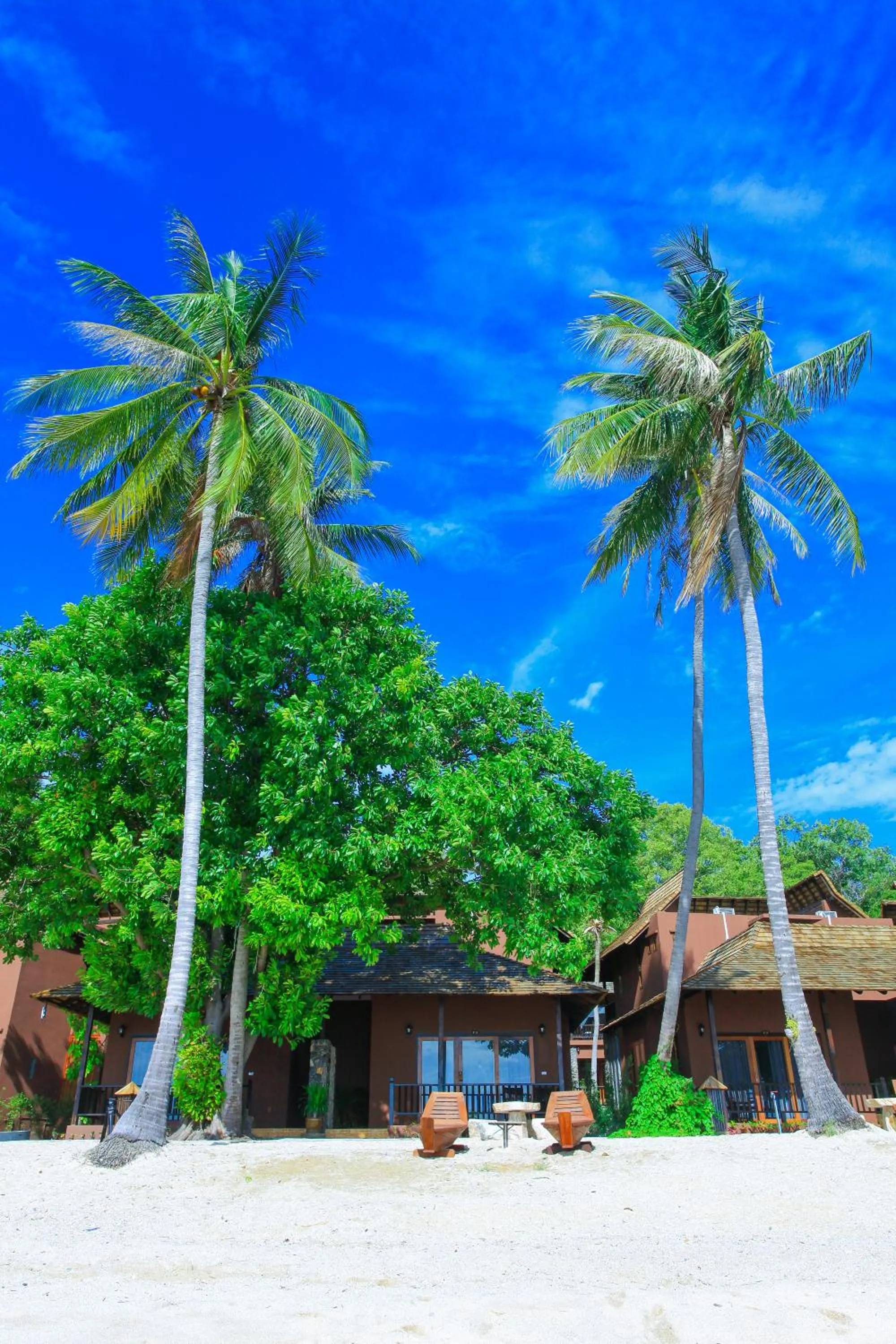 Beach in Koh Tao Beach Club