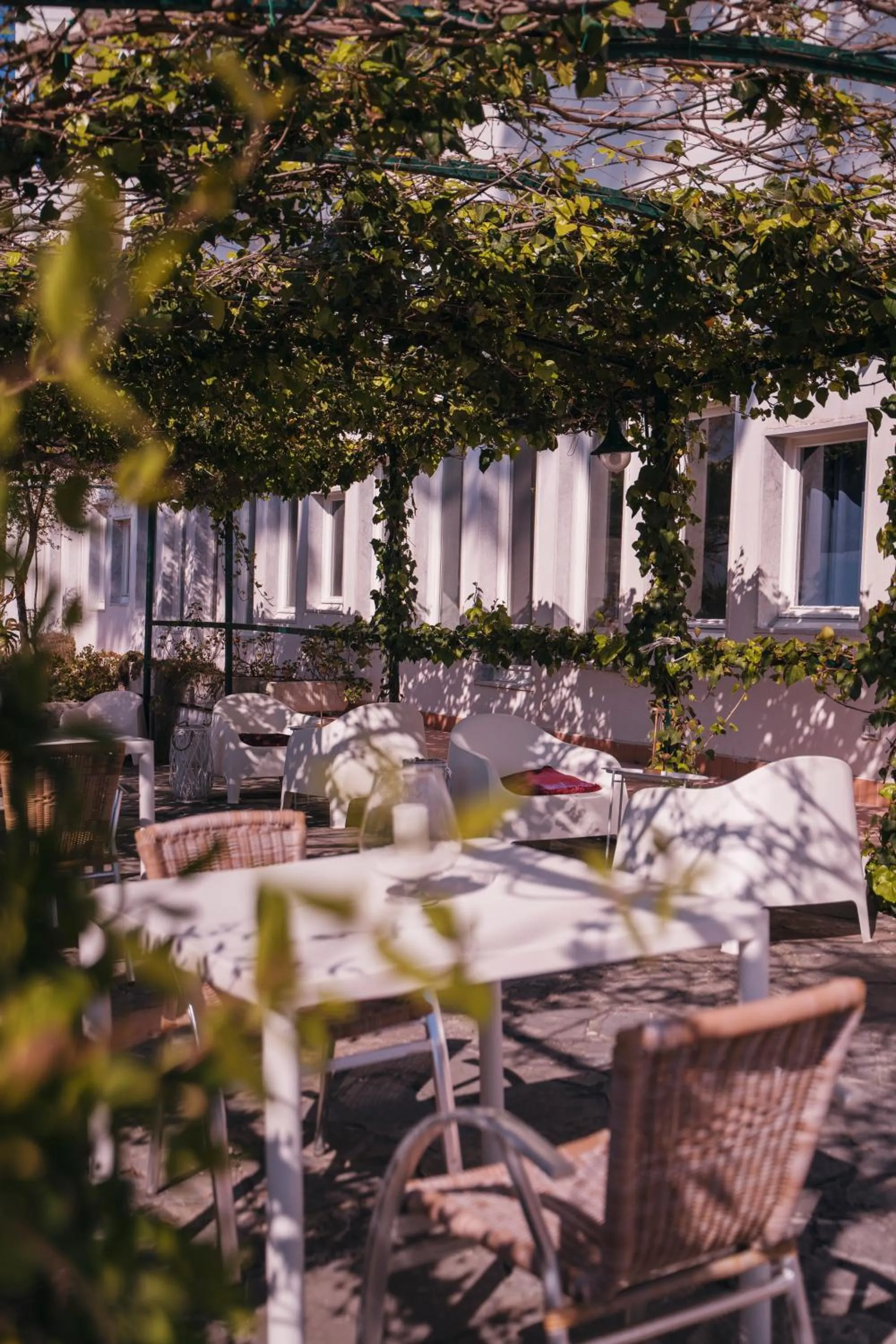 Balcony/Terrace in Hotel Sinuessa Terme