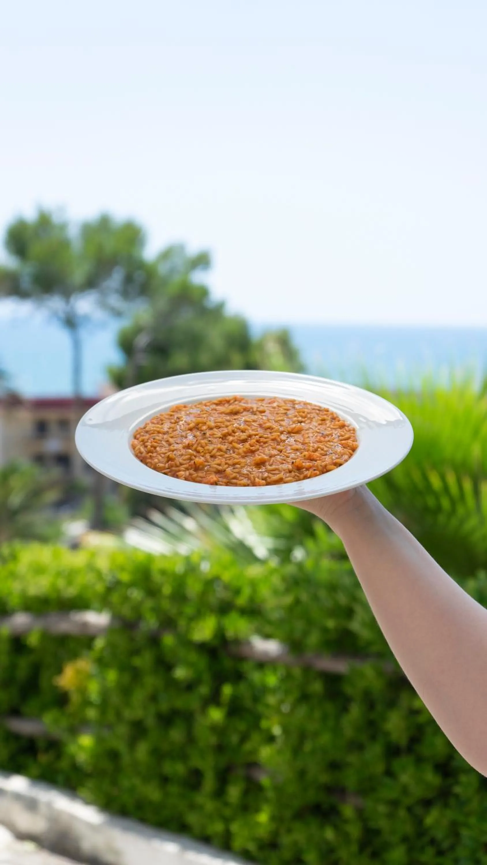 Restaurant/places to eat in Hotel Sinuessa Terme