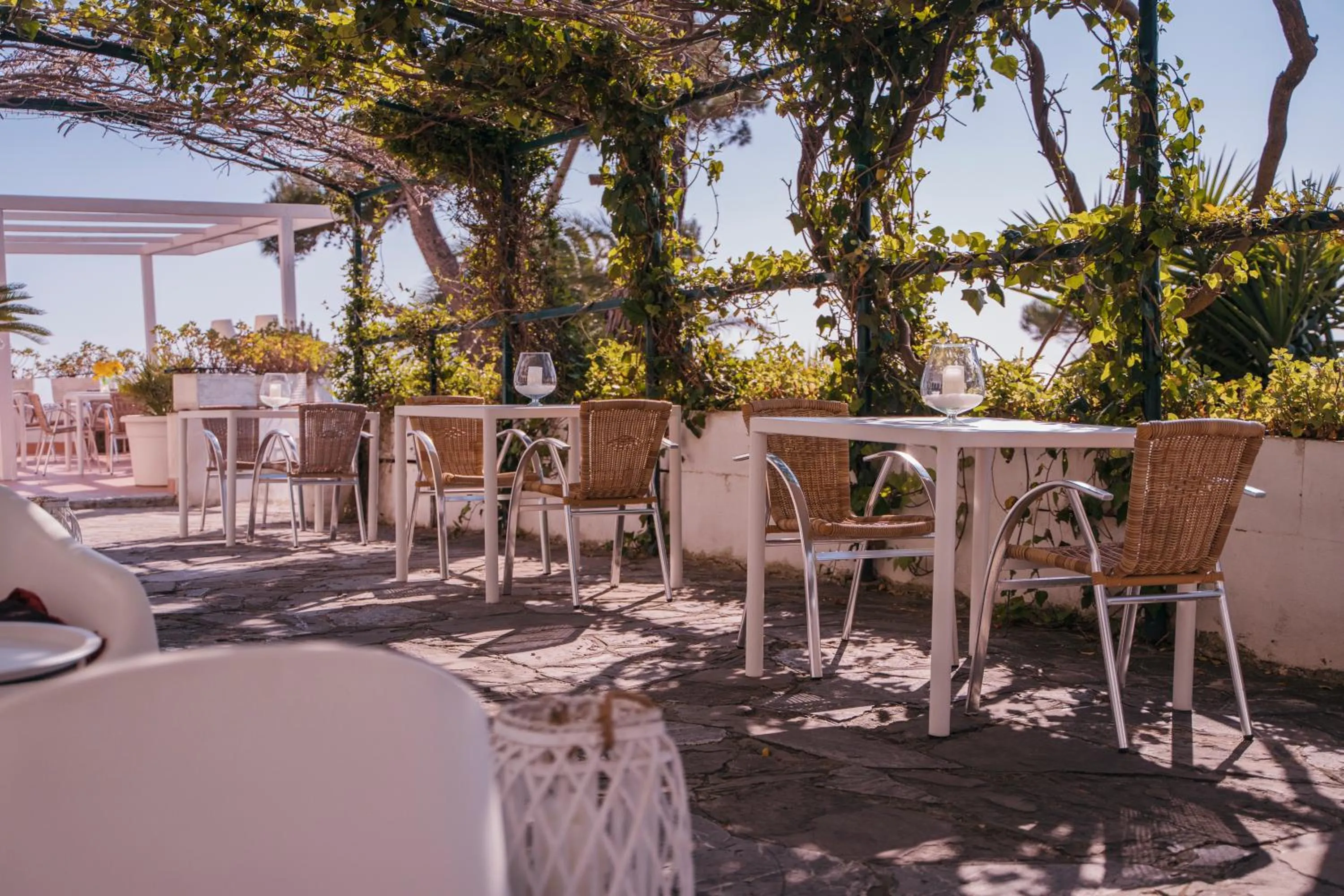 Balcony/Terrace in Hotel Sinuessa Terme